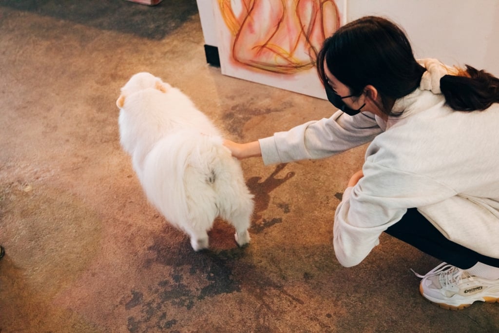 ซอนซอน(손손)เซียเจิ้น-08