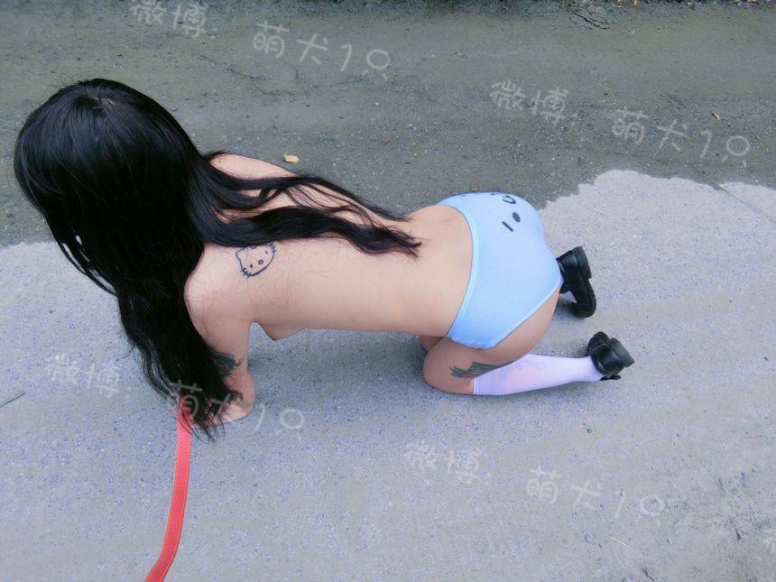 微博网红 - 萌犬1只