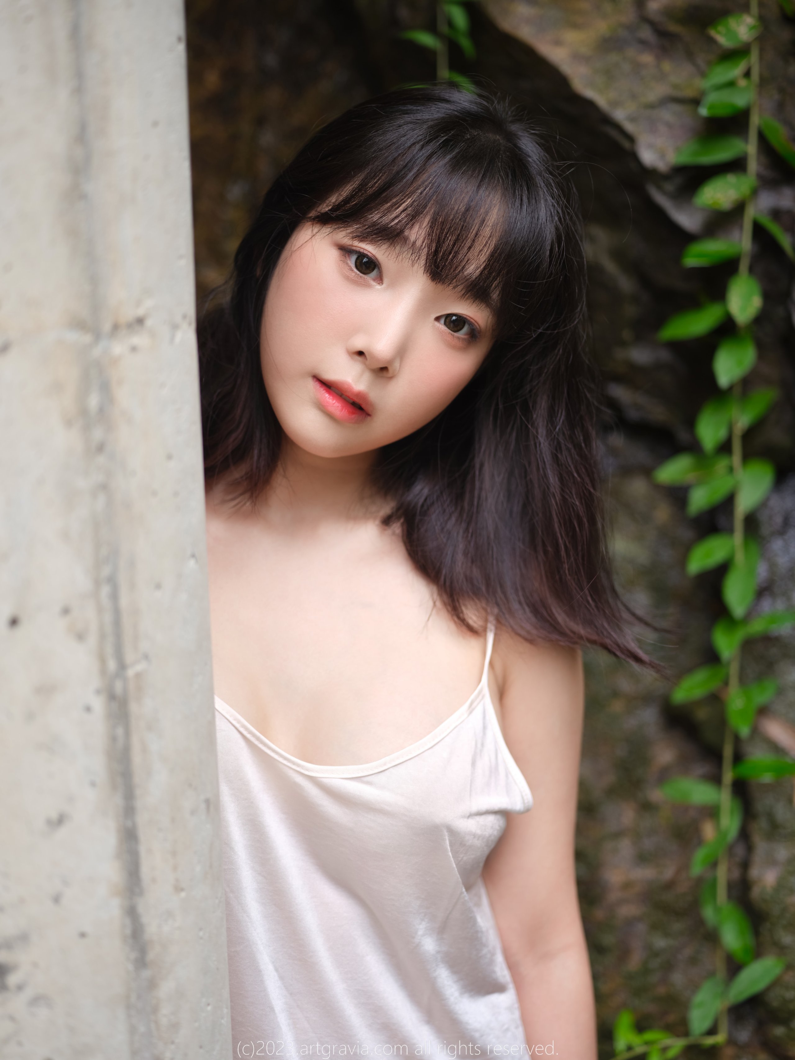 อาร์ตกราเวีย วอล.492