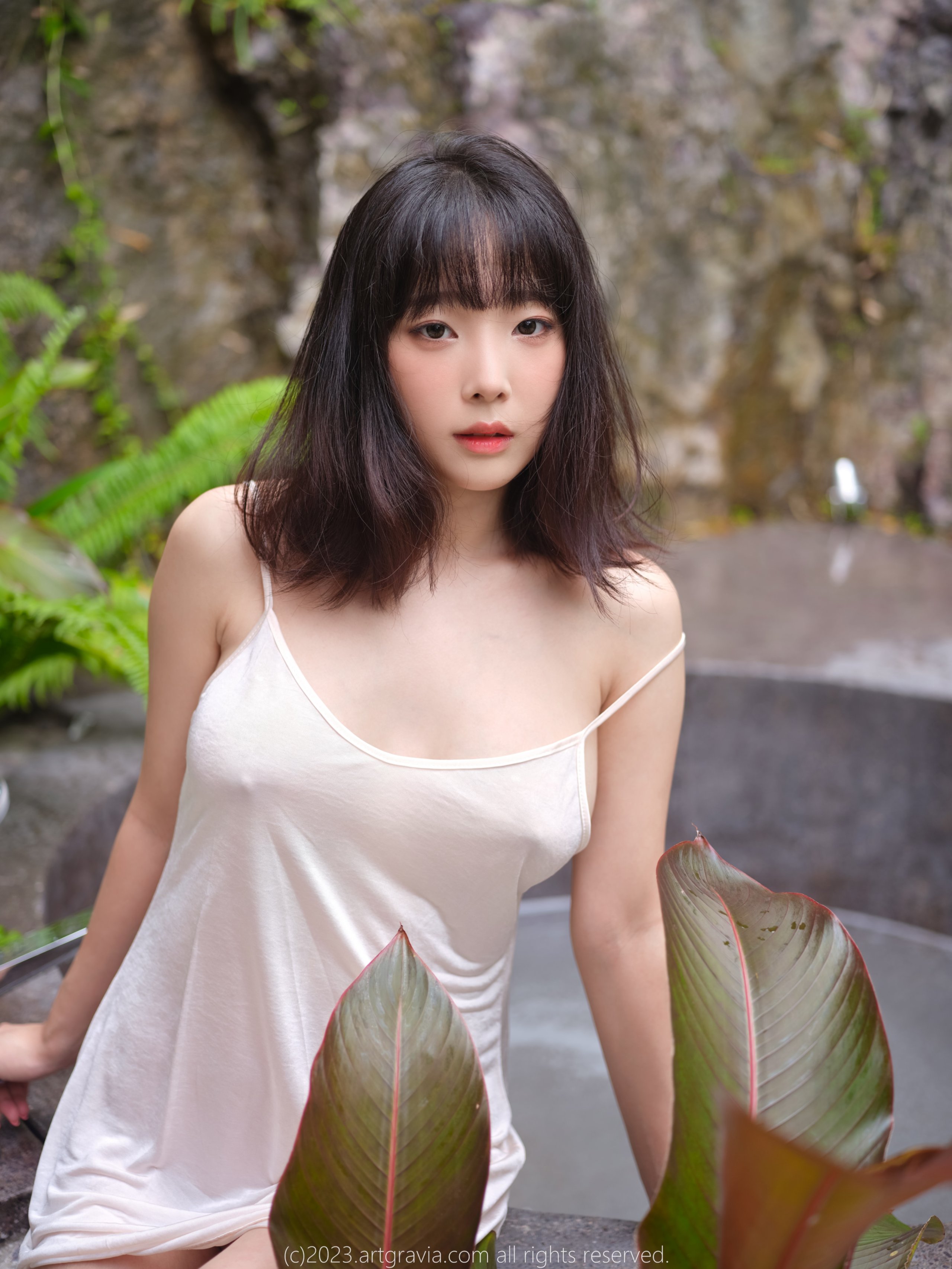アートグラビア Vol.492