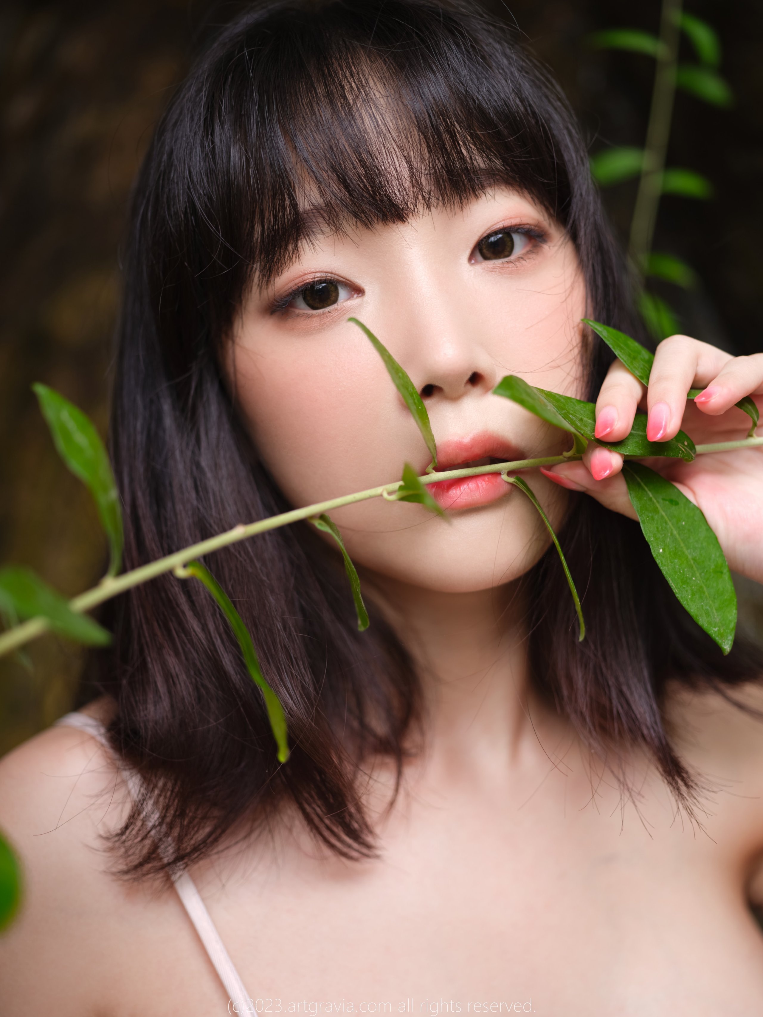 アートグラビア Vol.492