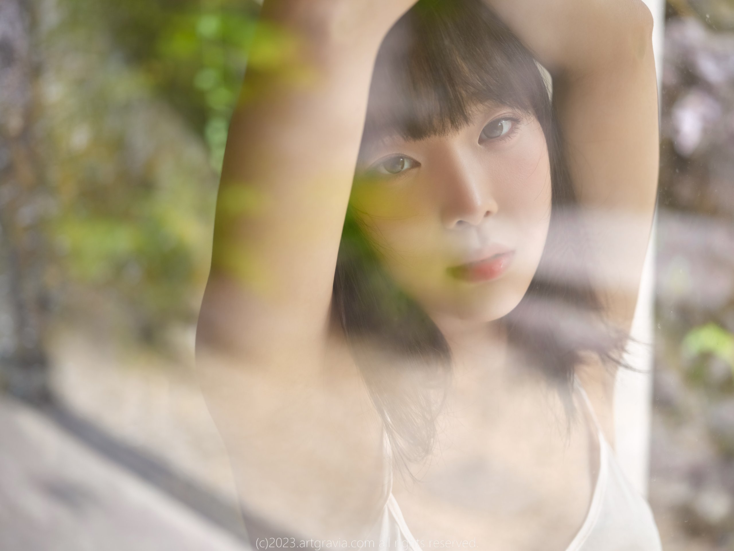 アートグラビア Vol.492