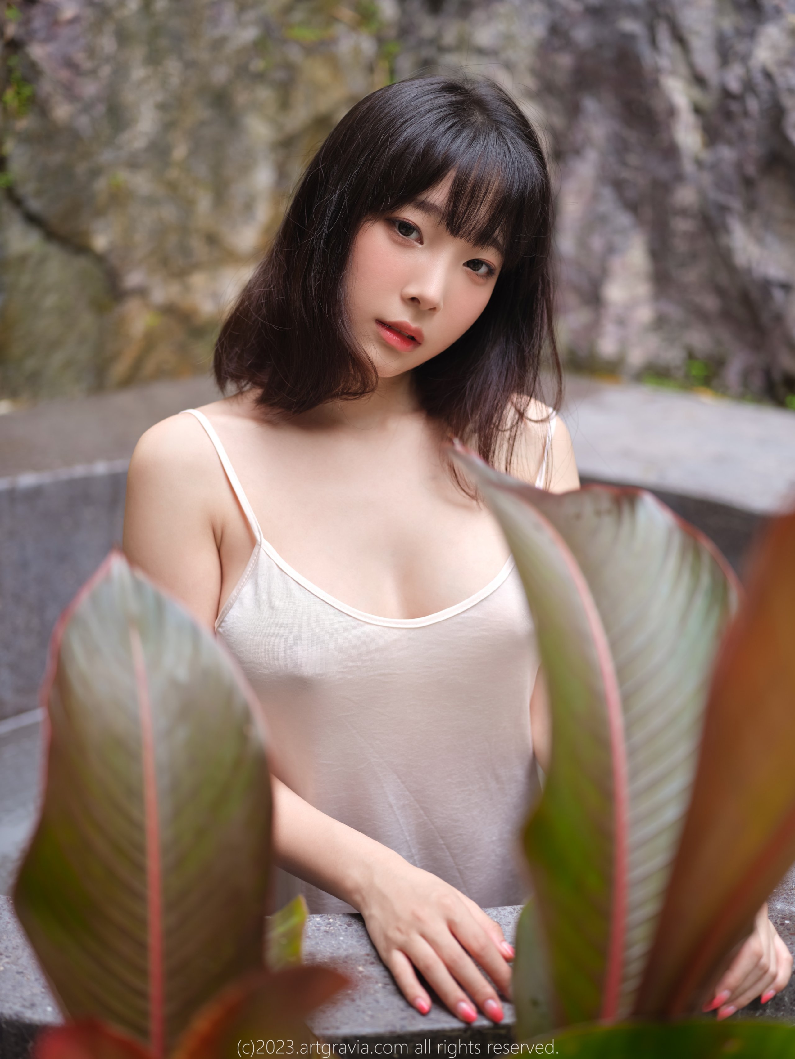 アートグラビア Vol.492