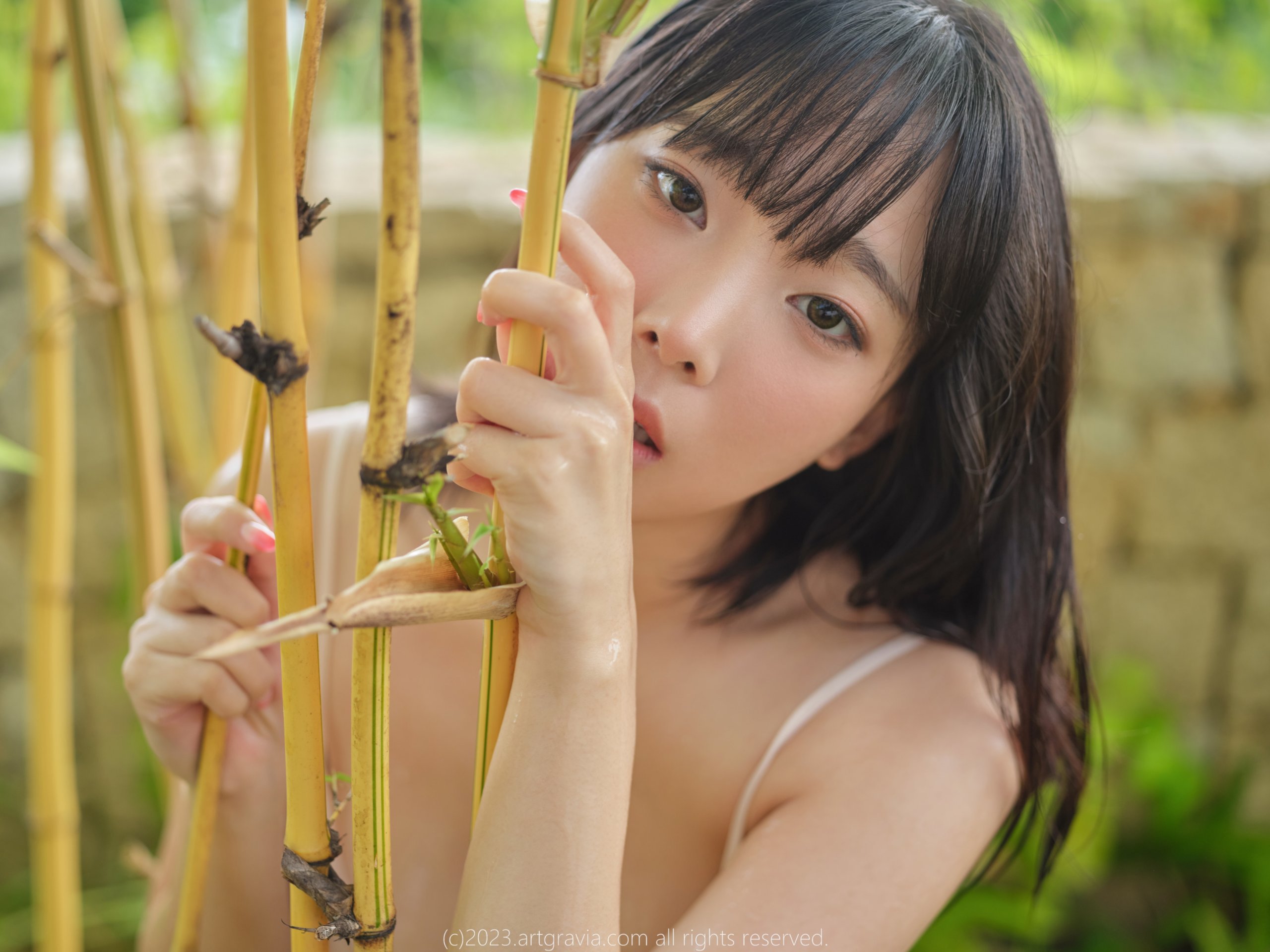 アートグラビア Vol.492