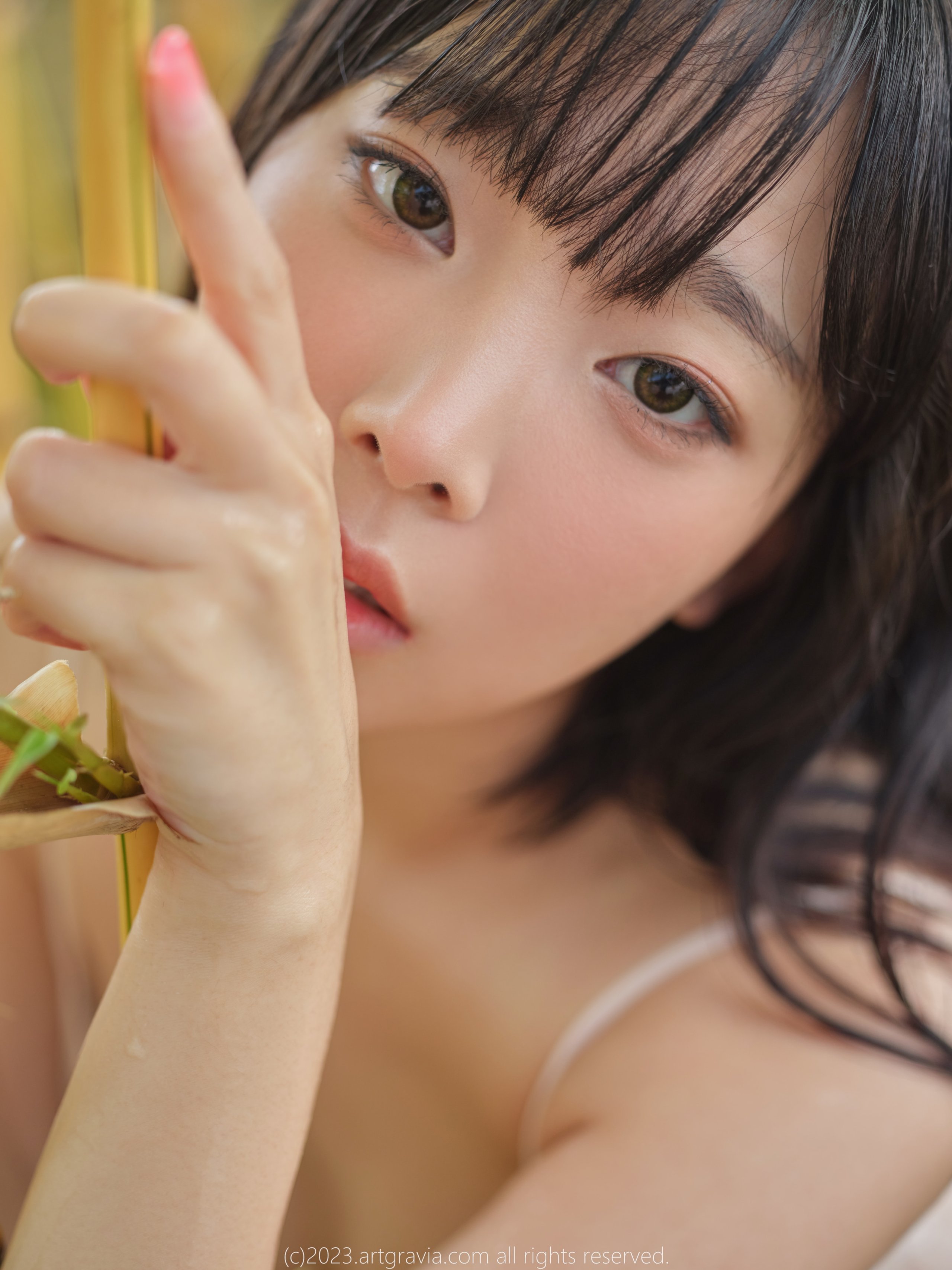 아트그라비아 Vol.492