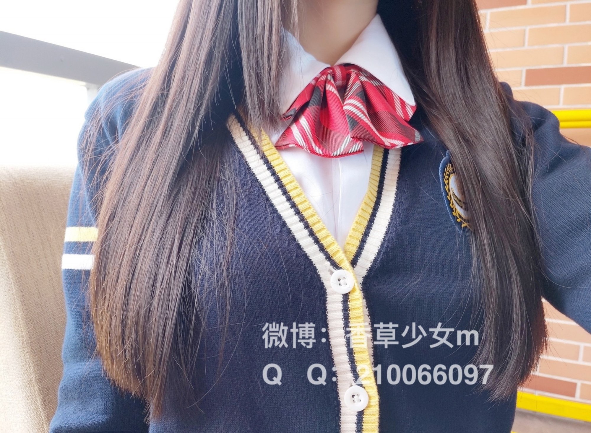 Vanilla Girl m: The Lustful Top Student on the Rooftop