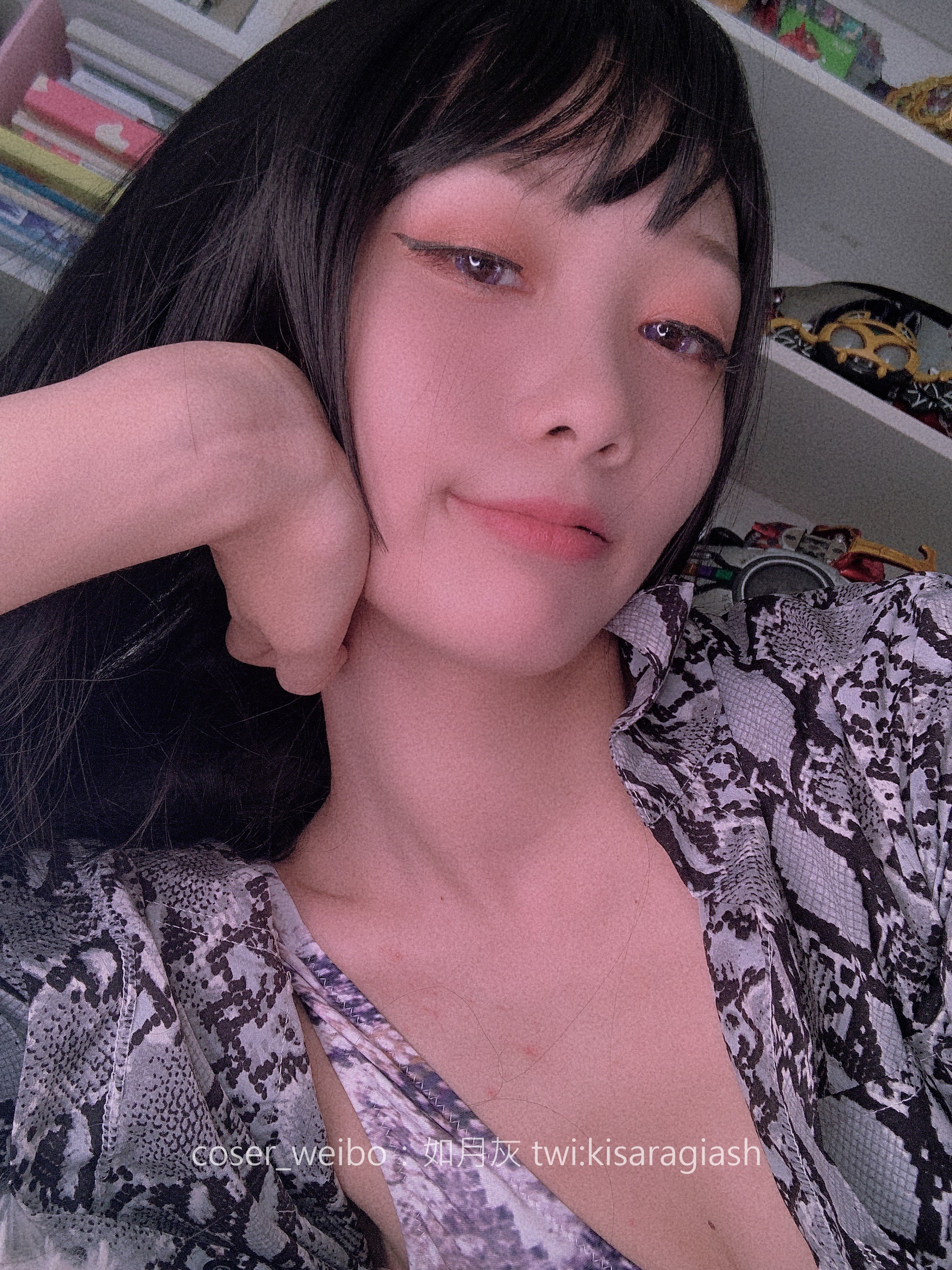 Như Nguyệt Hôi - Xà