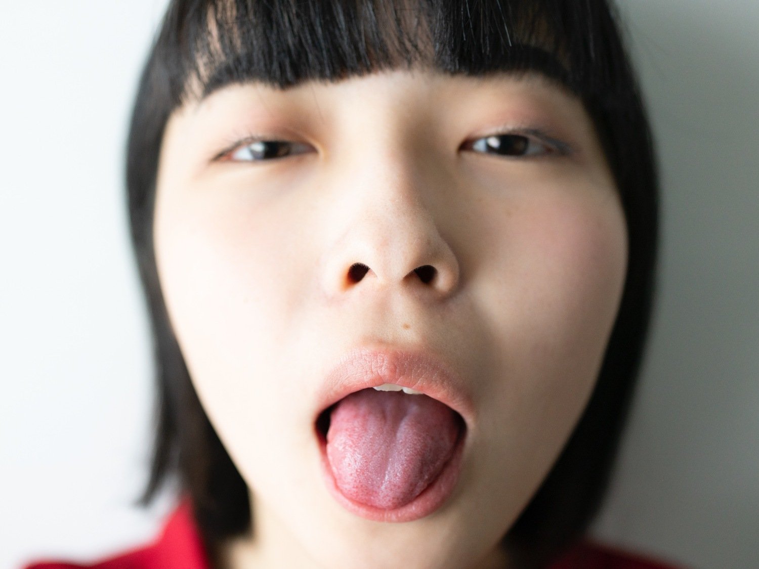 쇼조 라이산 쇼조_라이산 쇼조 라이산
