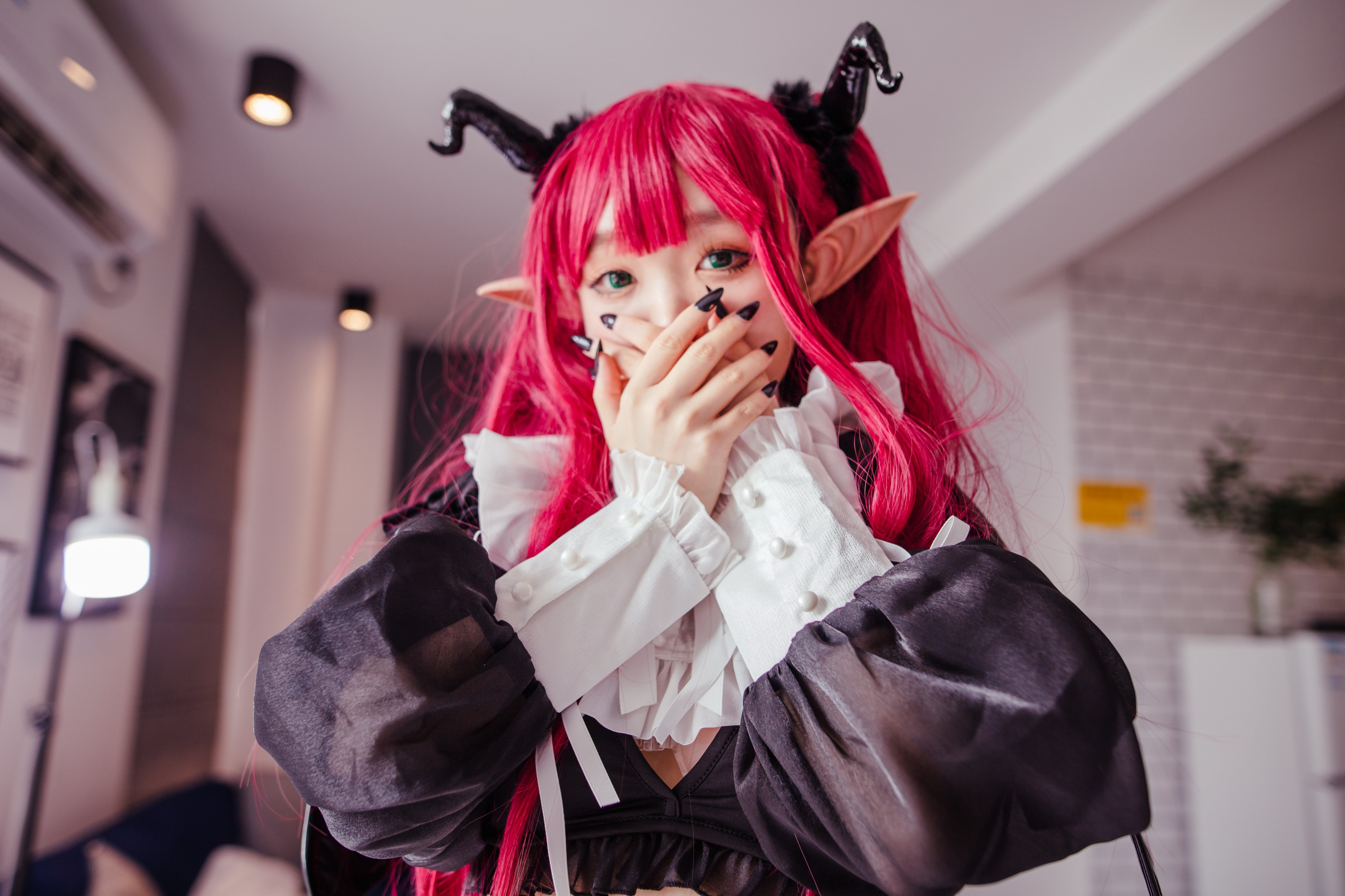 Kanzawa Eiri No.001 Succubus Liz Cosplay Photo Set 22P