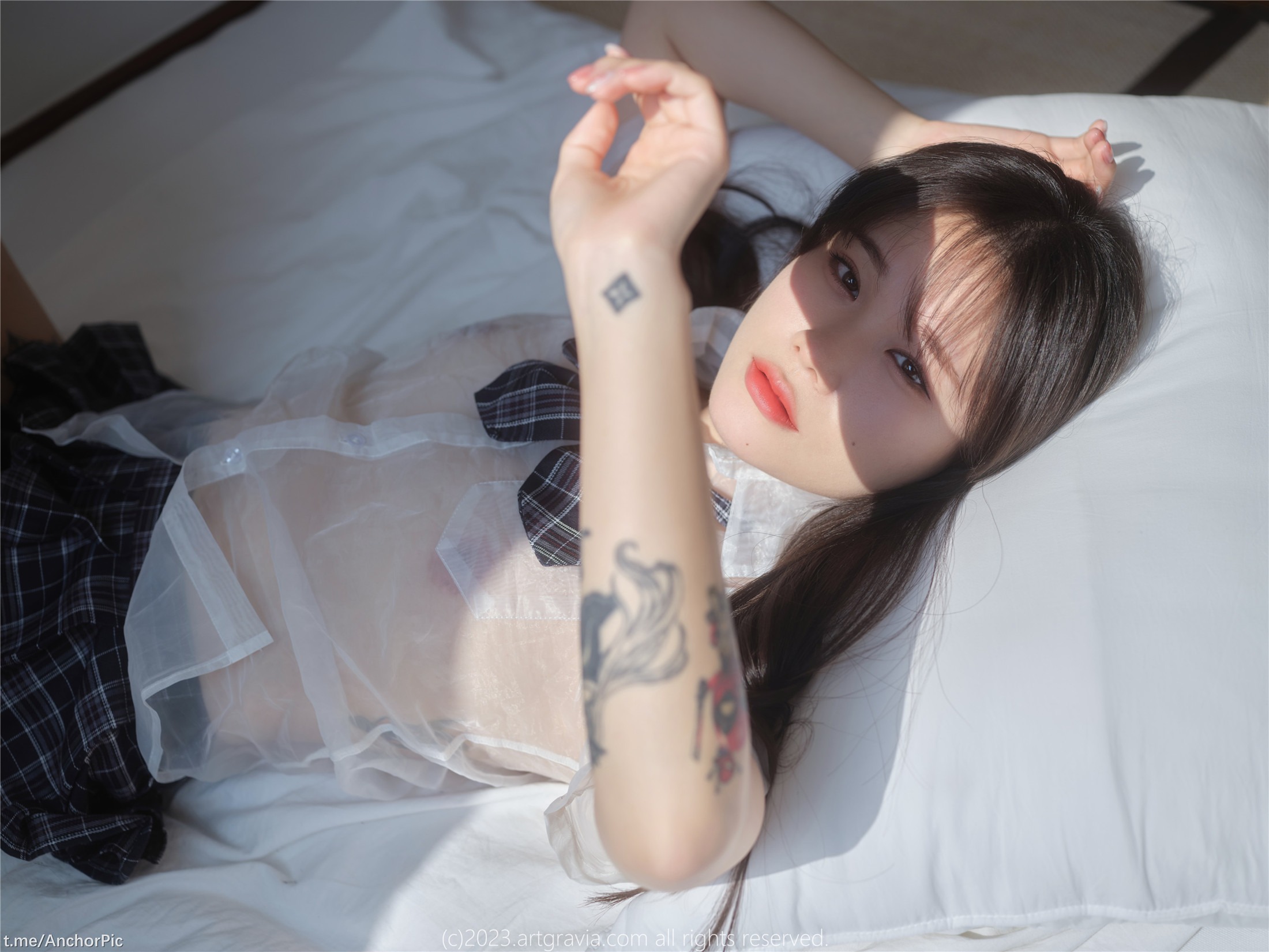 ArtGravia] Vol.531 シラ 101P