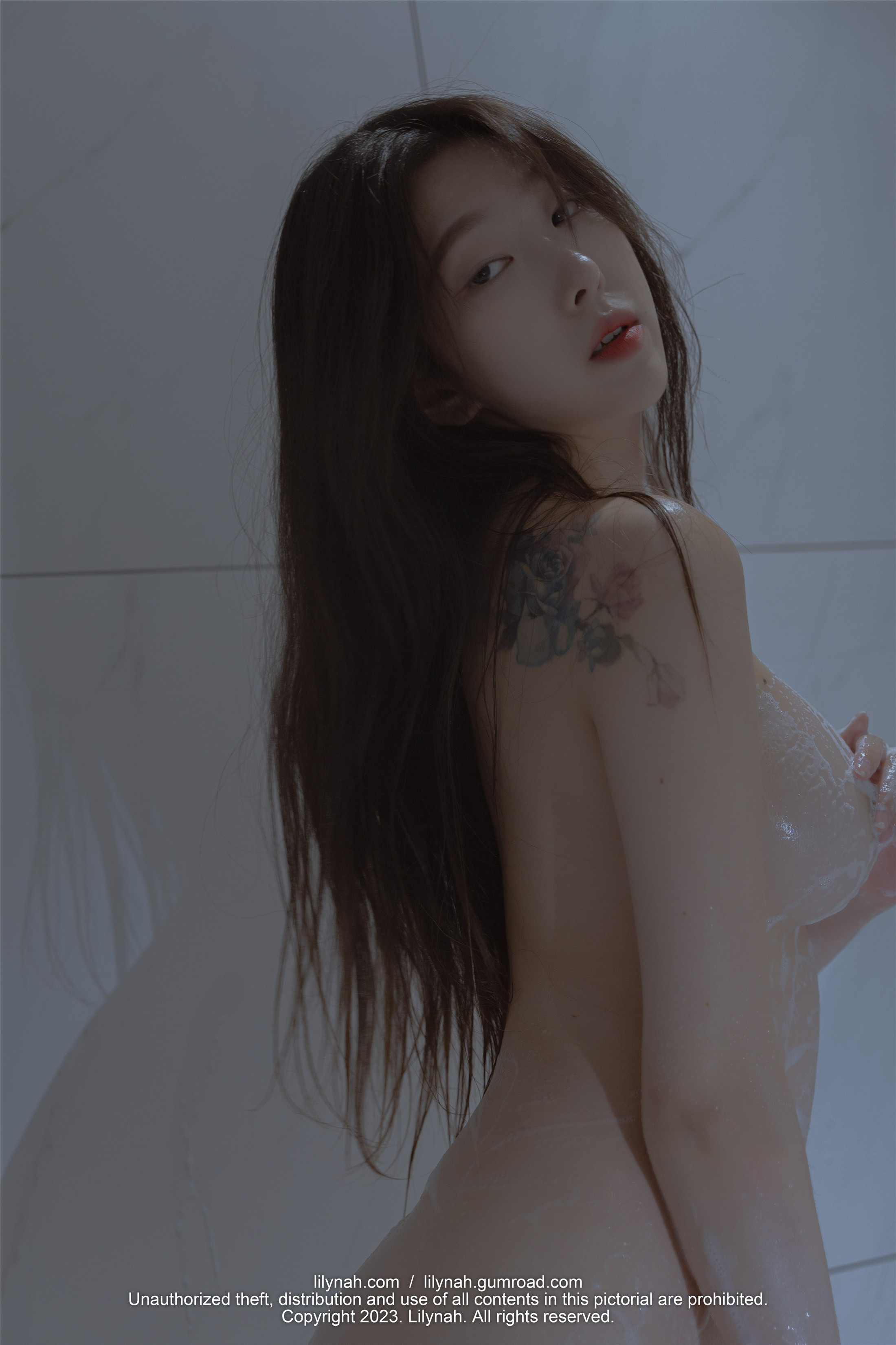 リリナ] Lw074 Vol.18 シャニー 50P