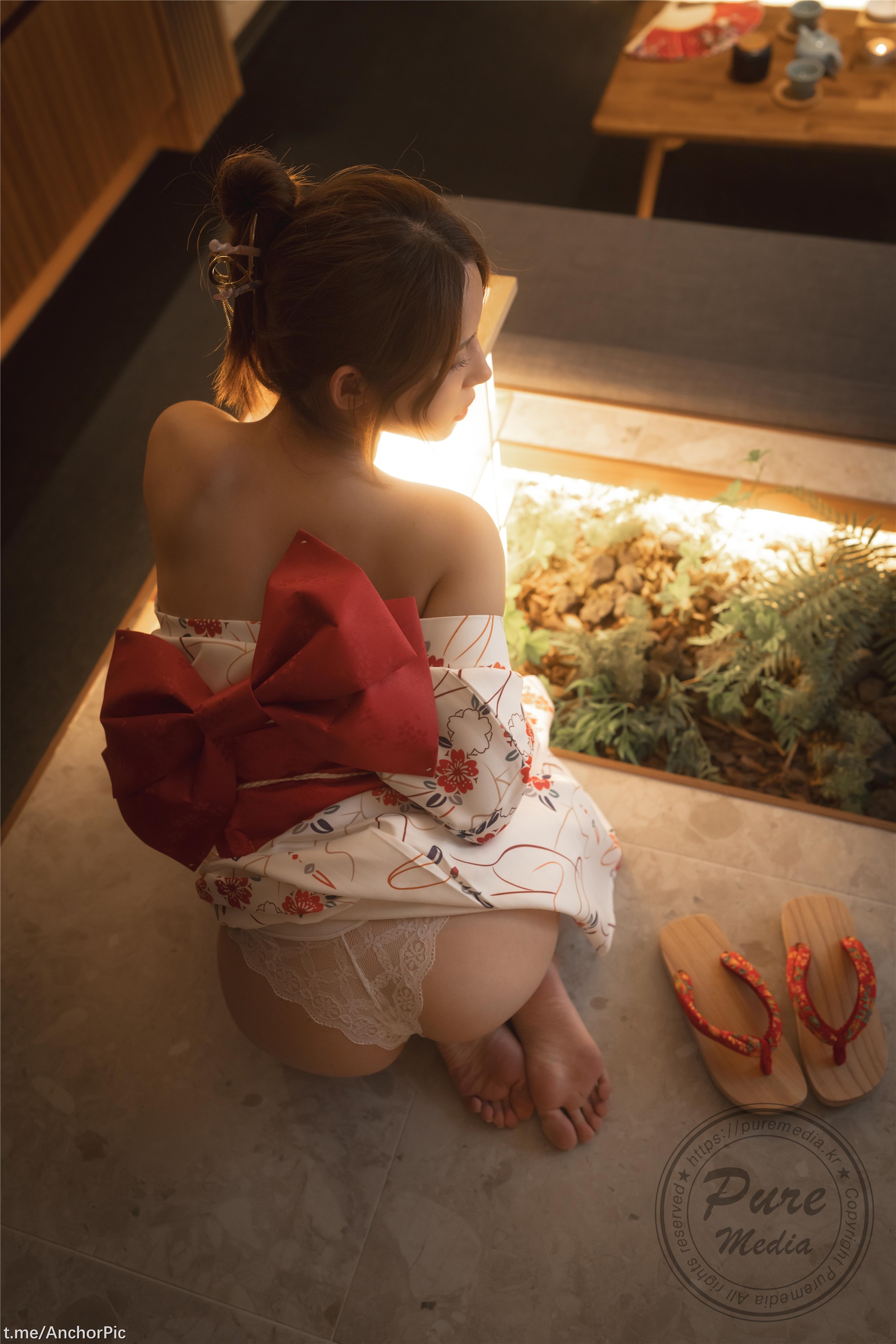 Pure Media Vol.255 Yeha Geisha's Invitation 160P