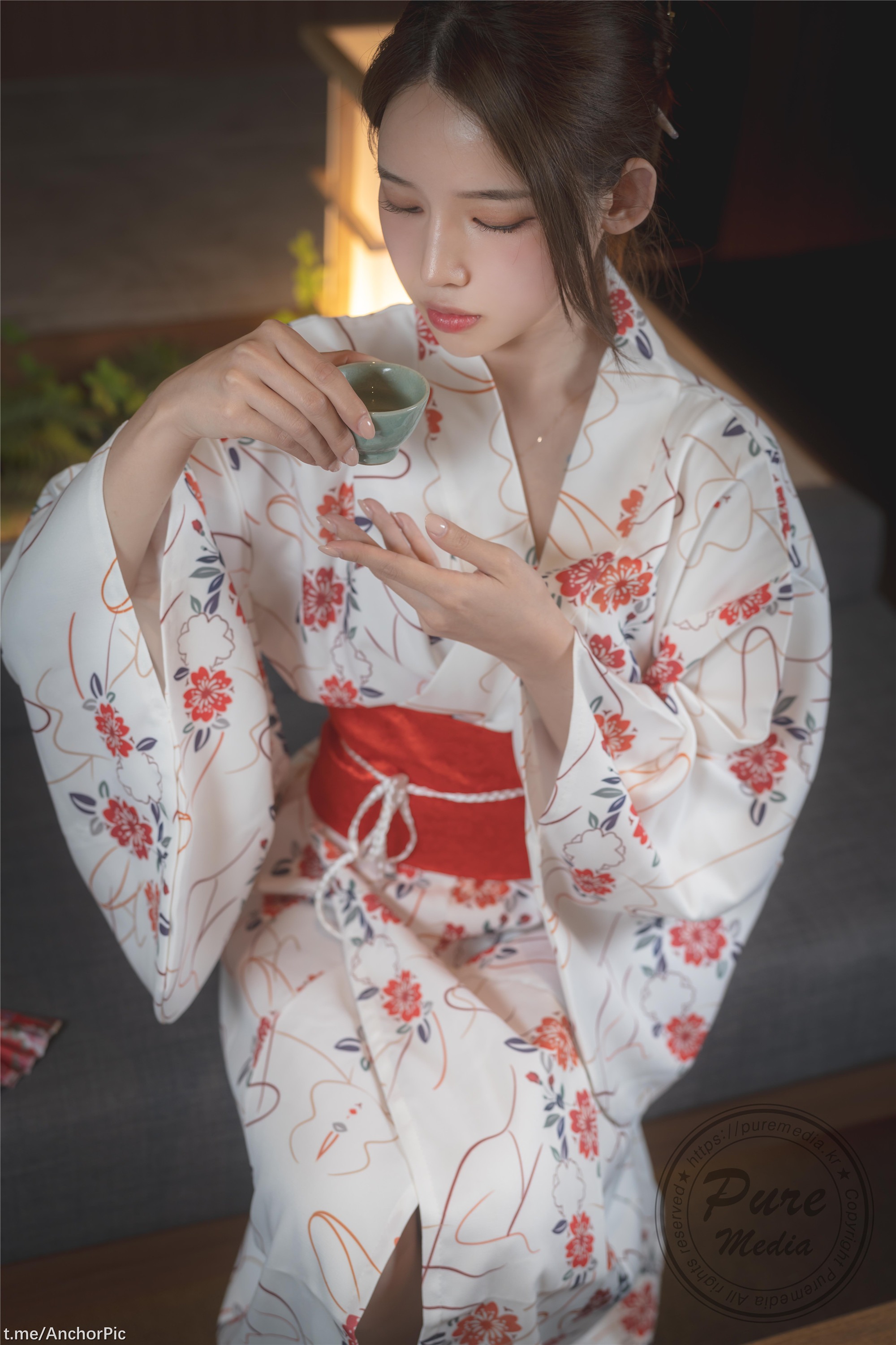 Pure Media Vol.255 Yeha Geisha's Invitation 160P