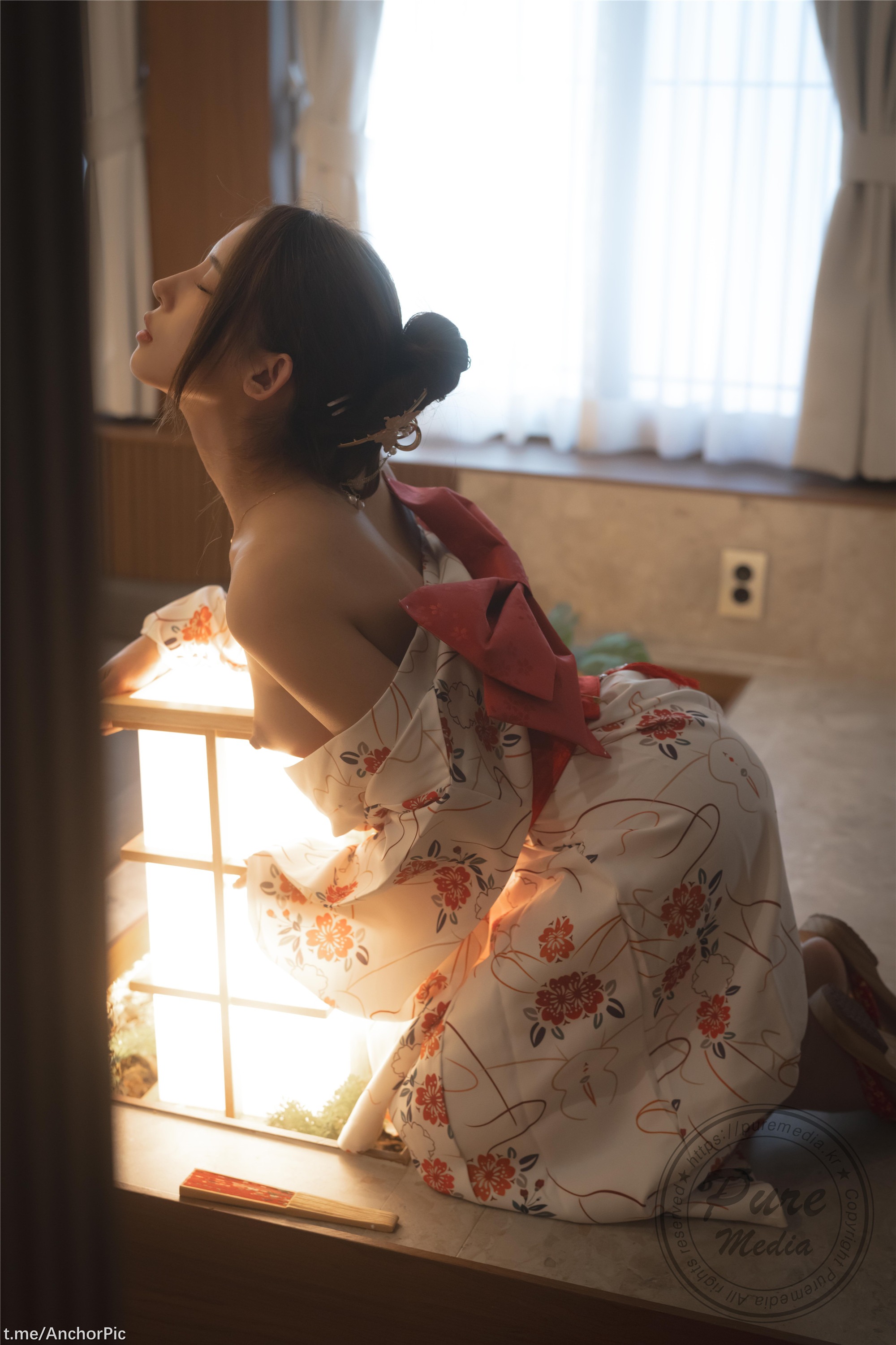 Pure Media Vol.255 Yeha Geisha's Invitation 160P