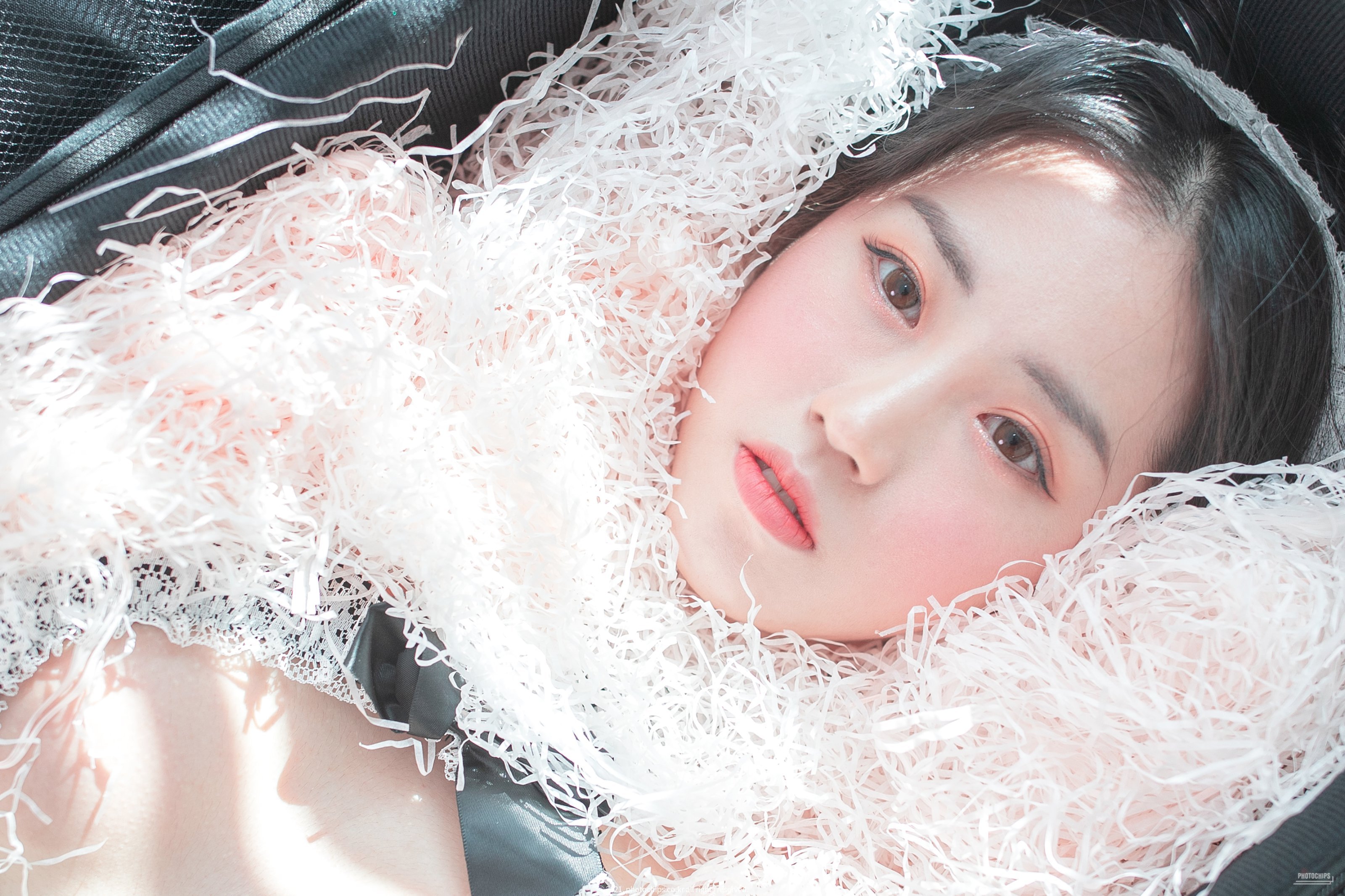 PhotoChips Vol.109 No.13 Dami (퀸다미)