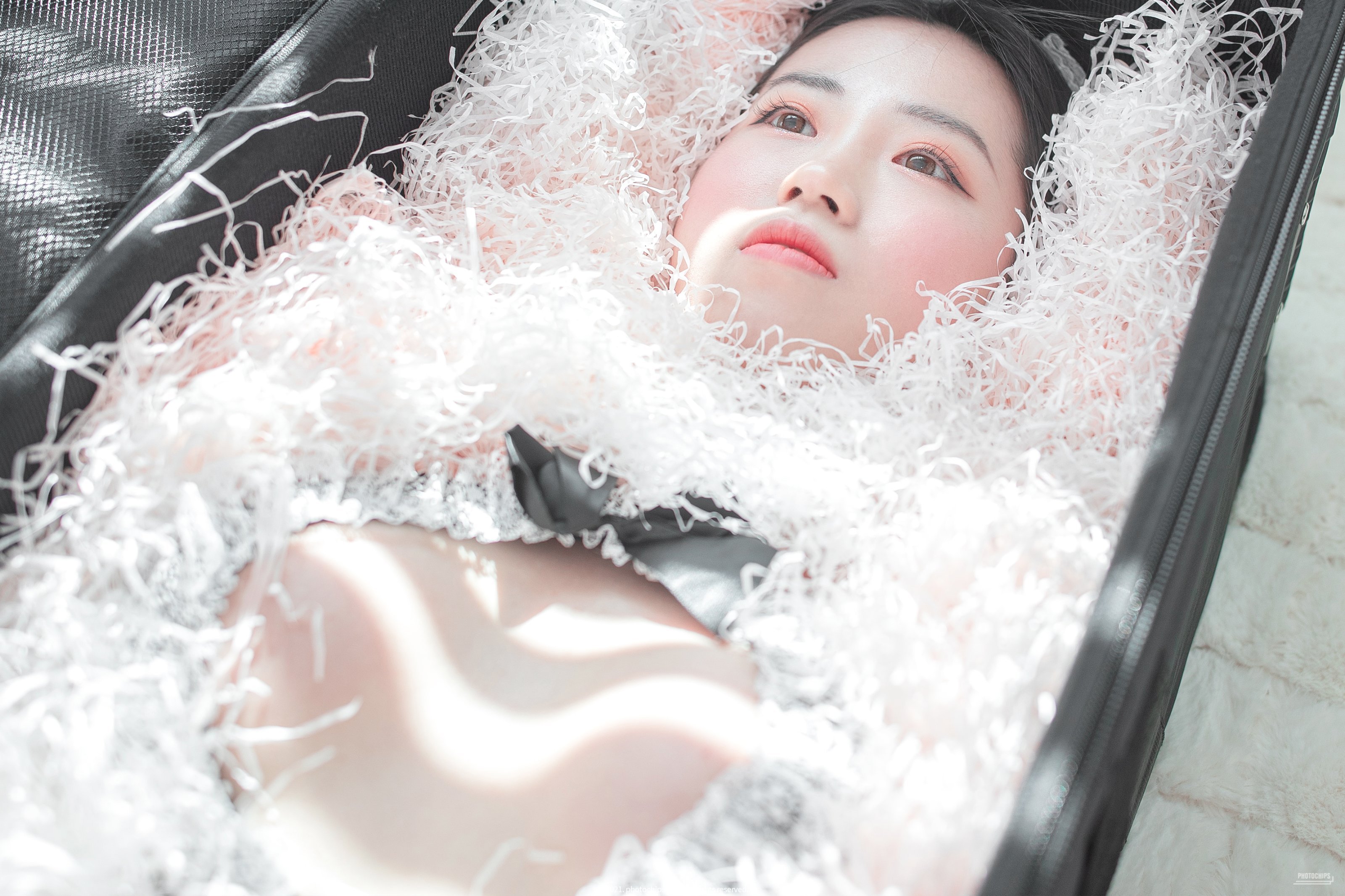 PhotoChips Vol. 109 No. 13 Dami (Kwon Dami)