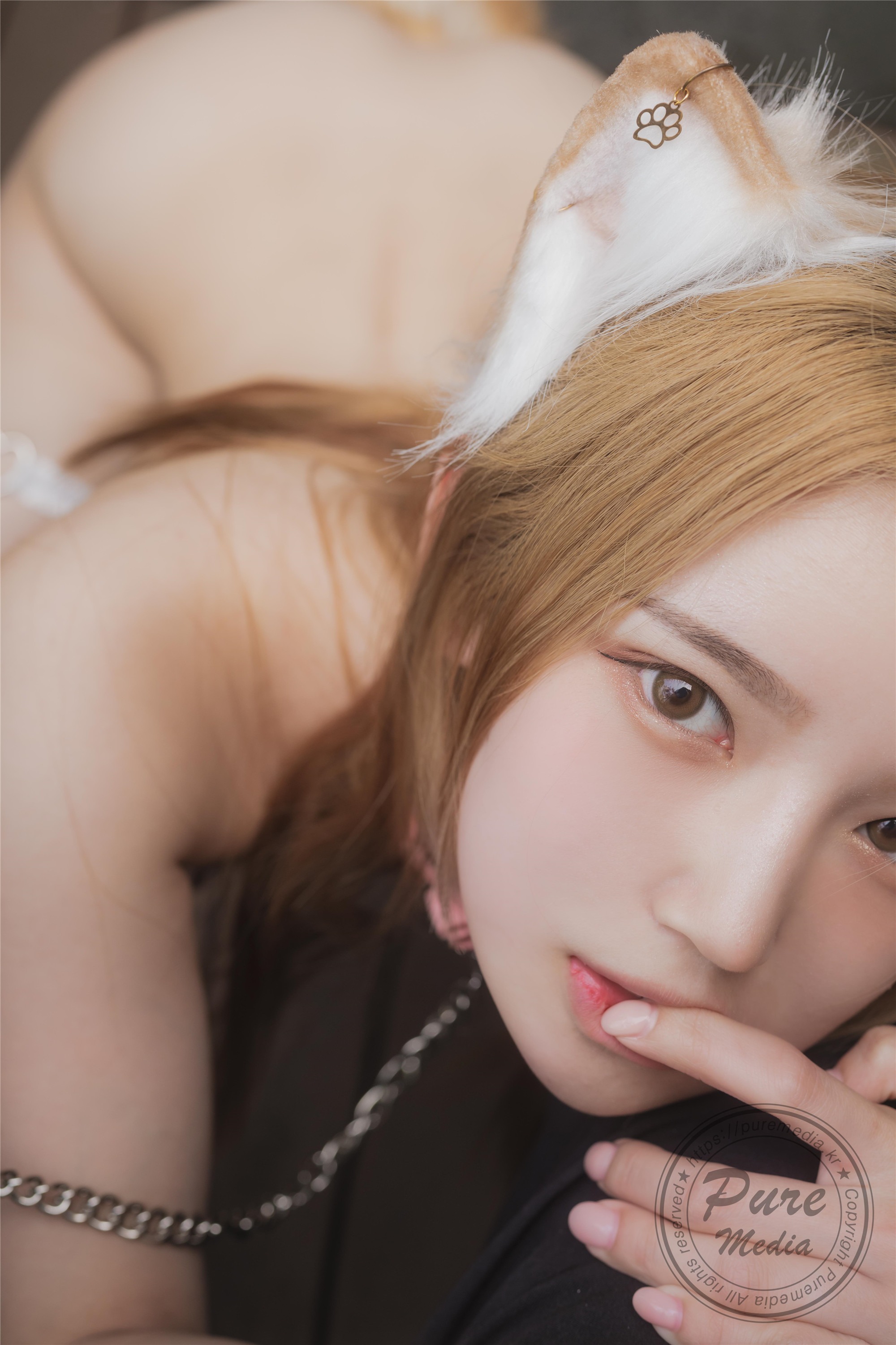 Pure Media] Volume 260 Yeha - Stick My Tail In The Hole 166P