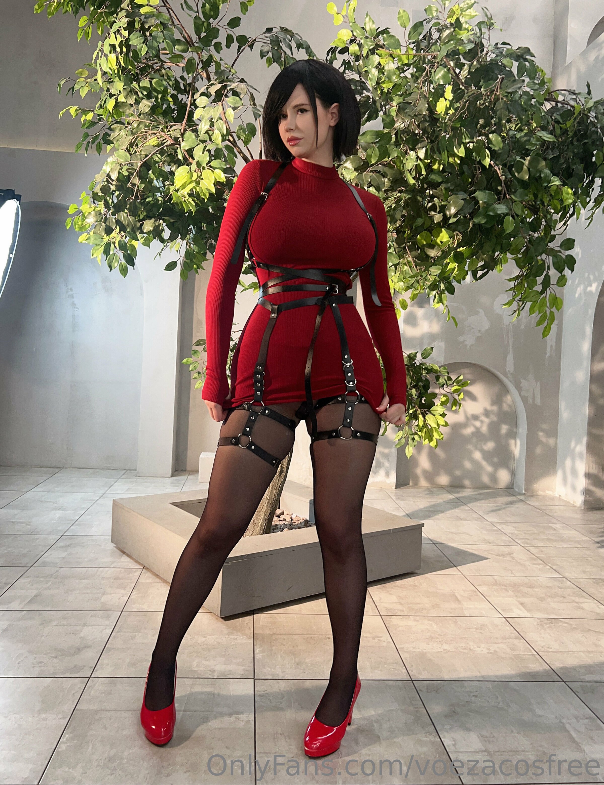 Voezacos - Ada Wong