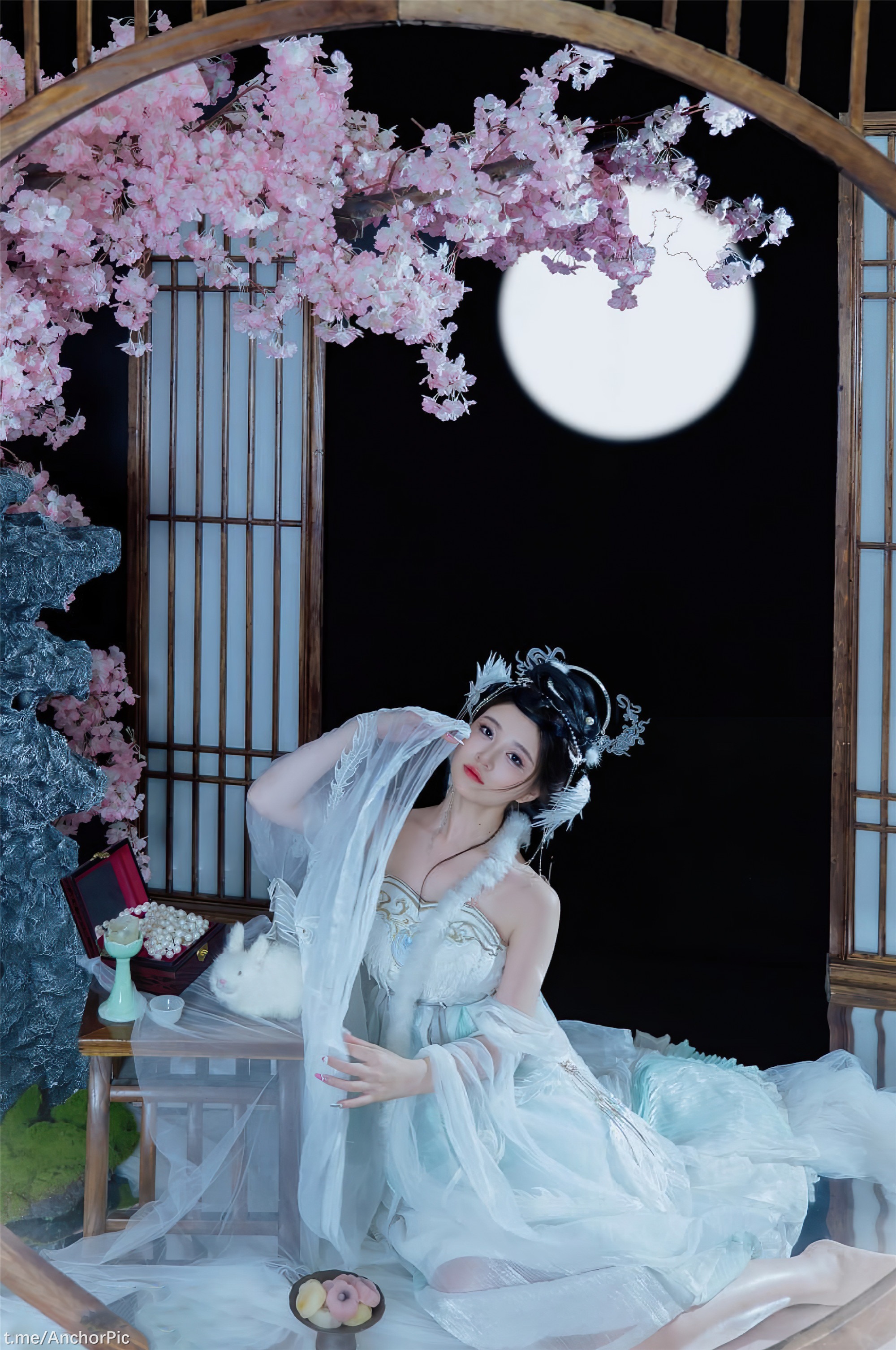 Nian Nian - Chang'e the Fairy 49P