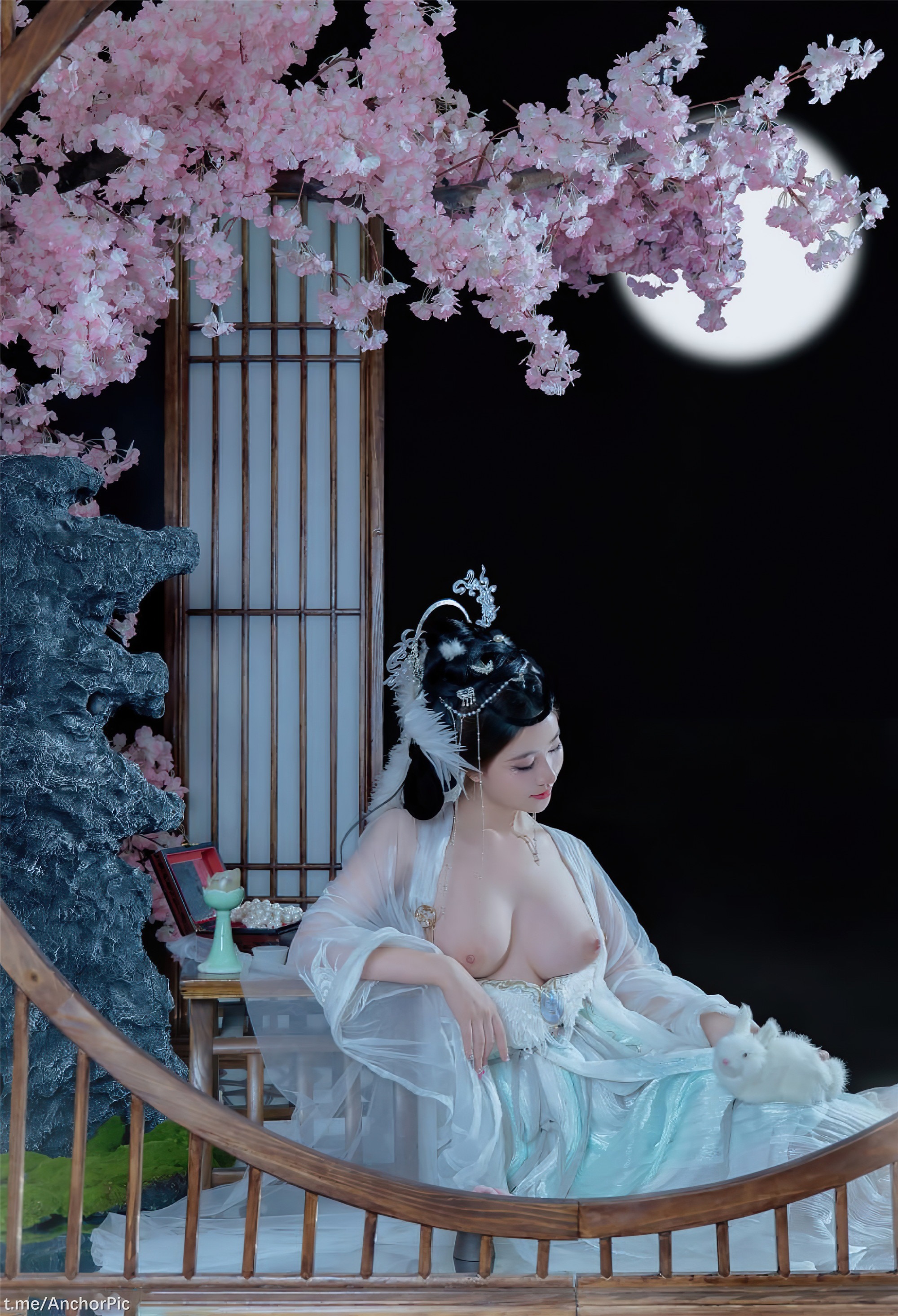 Nian Nian - Chang'e the Fairy 49P
