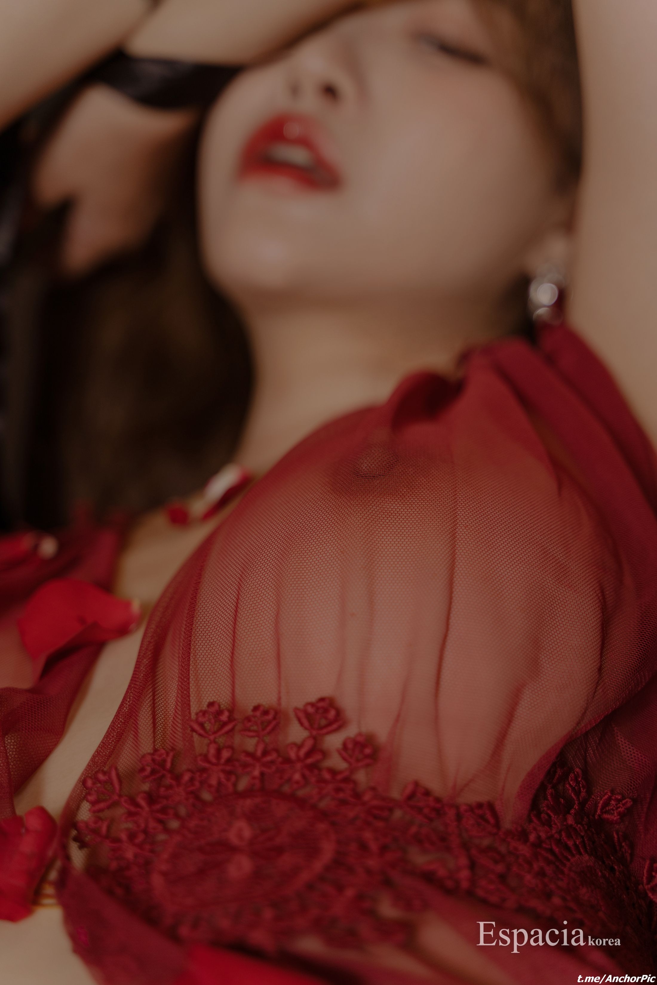 에스파시아 코리아] EHC 066 스노우 50P