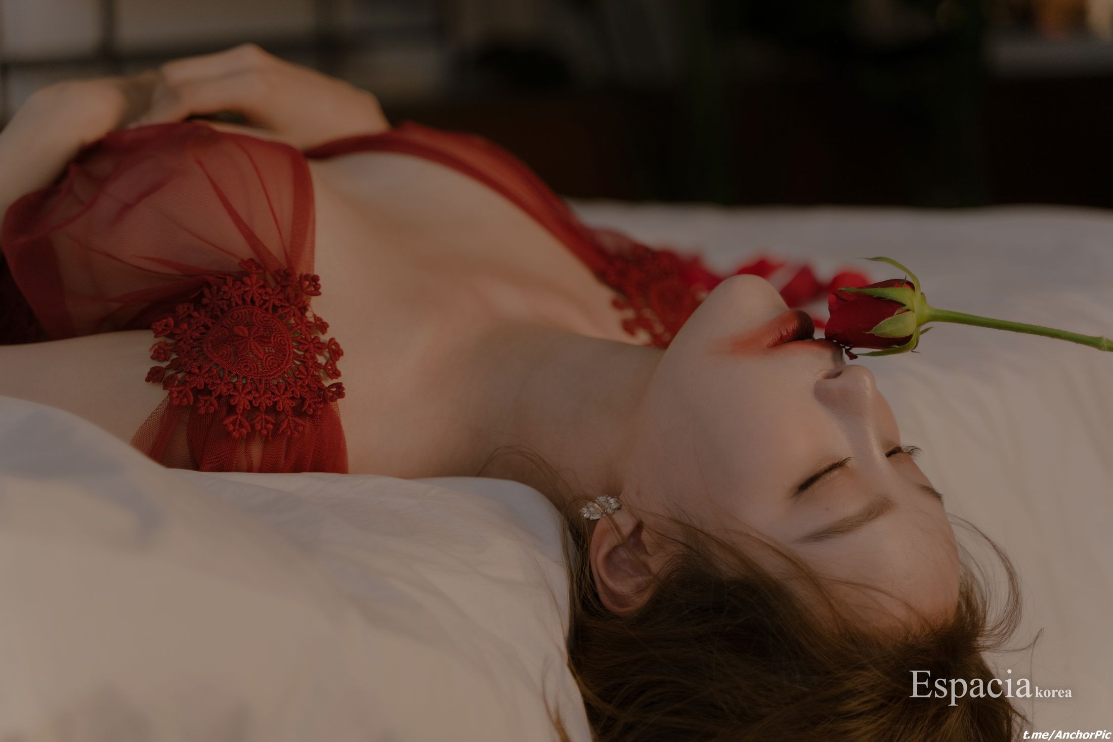 에스파시아 코리아] EHC 066 스노우 50P