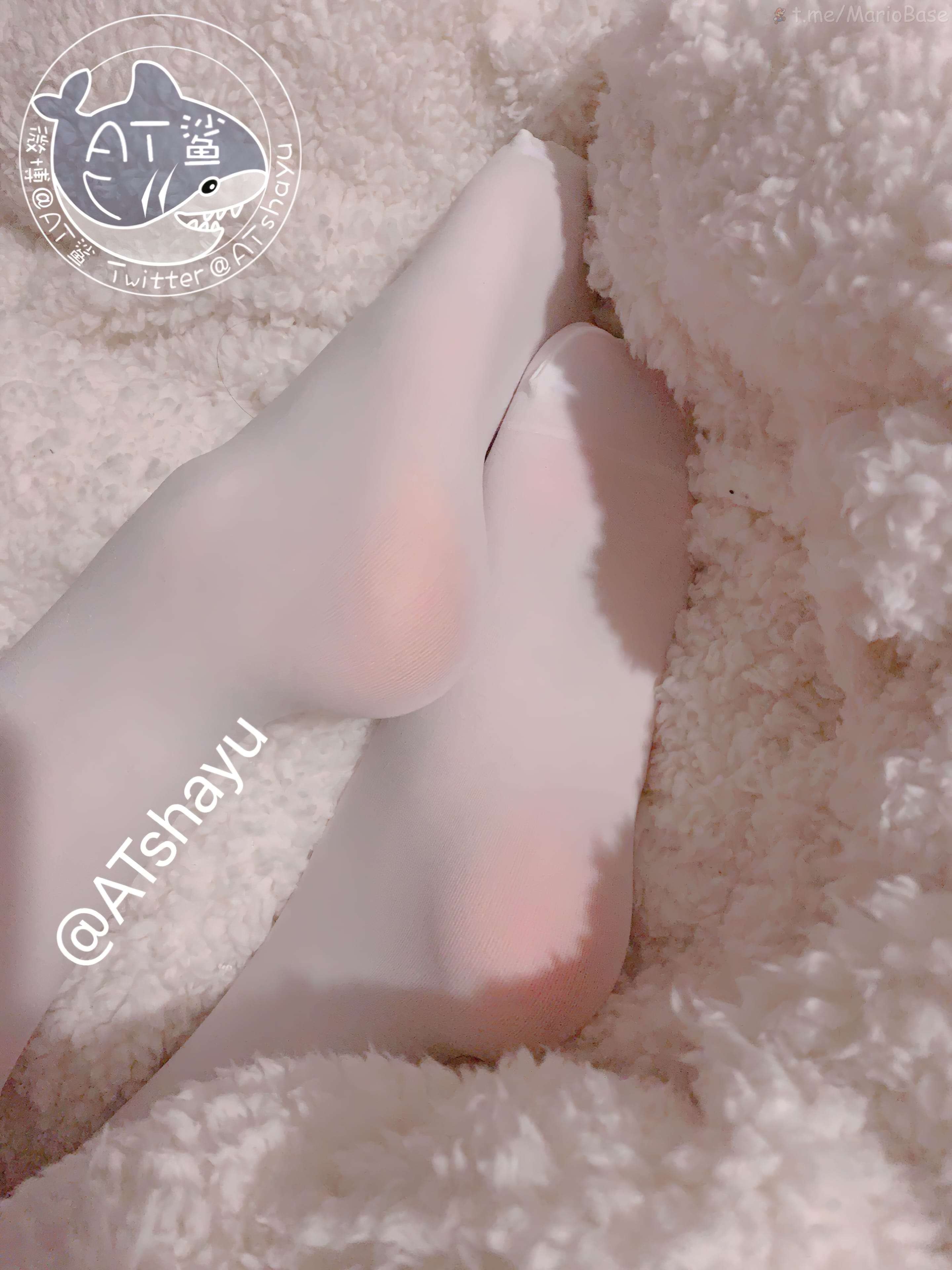 AT 상어 - 잡다한 사진 [97P
