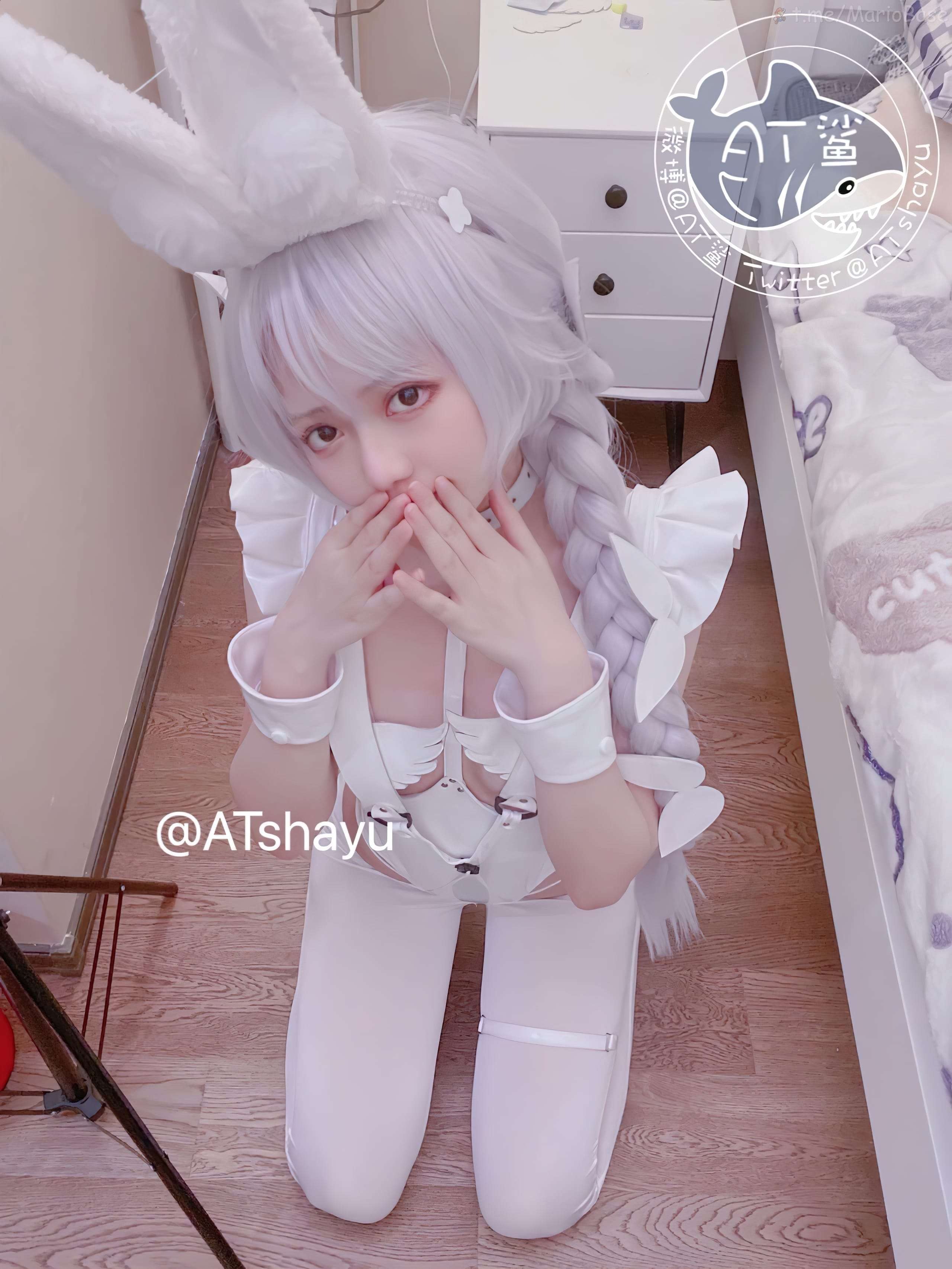 AT 상어 - 잡다한 사진 [97P