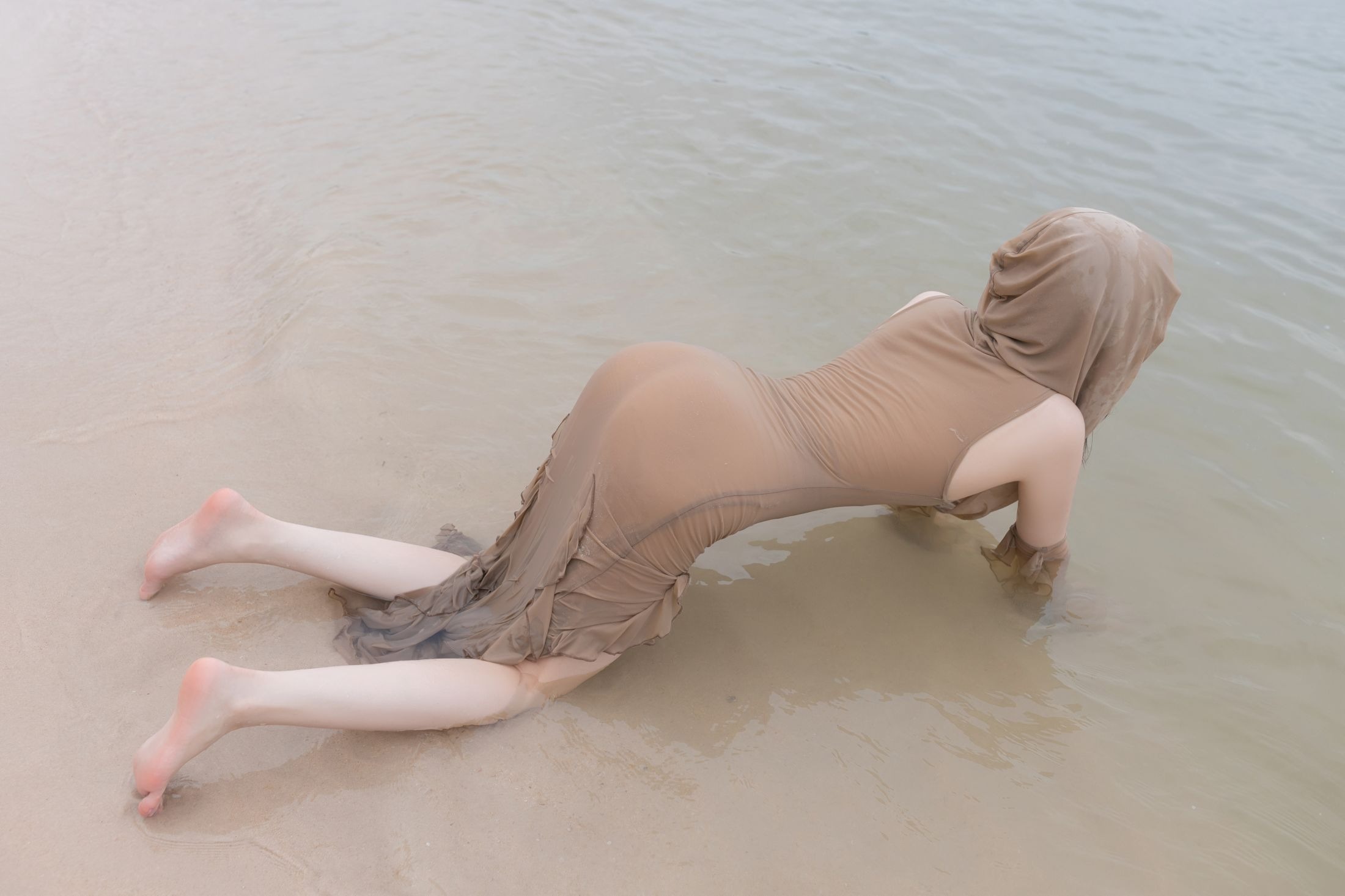 Yuzi Jiang Fish - Bãi biển sau mưa 107P