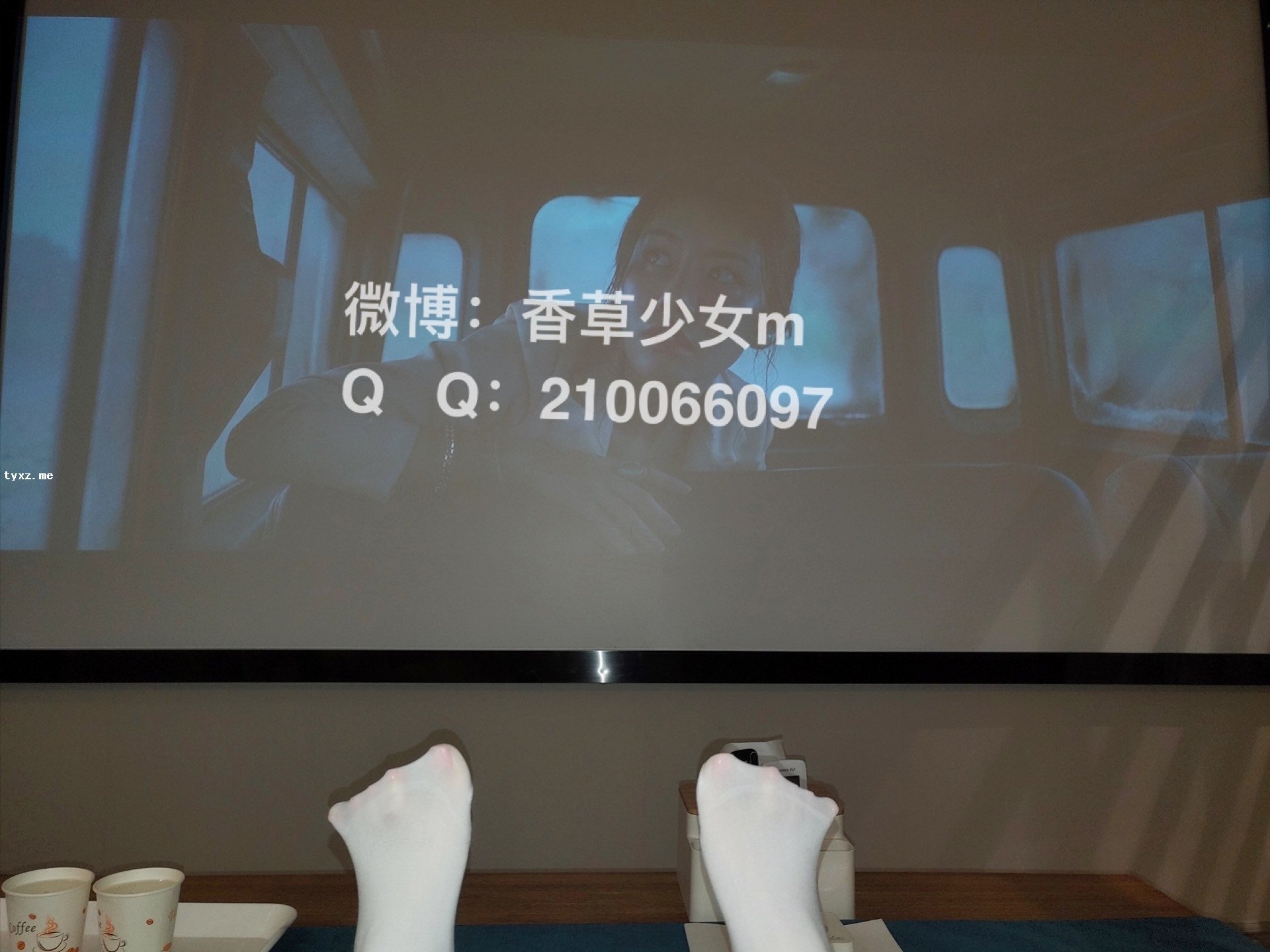 香草少女m(九尾狐狸m) - 私人电影院