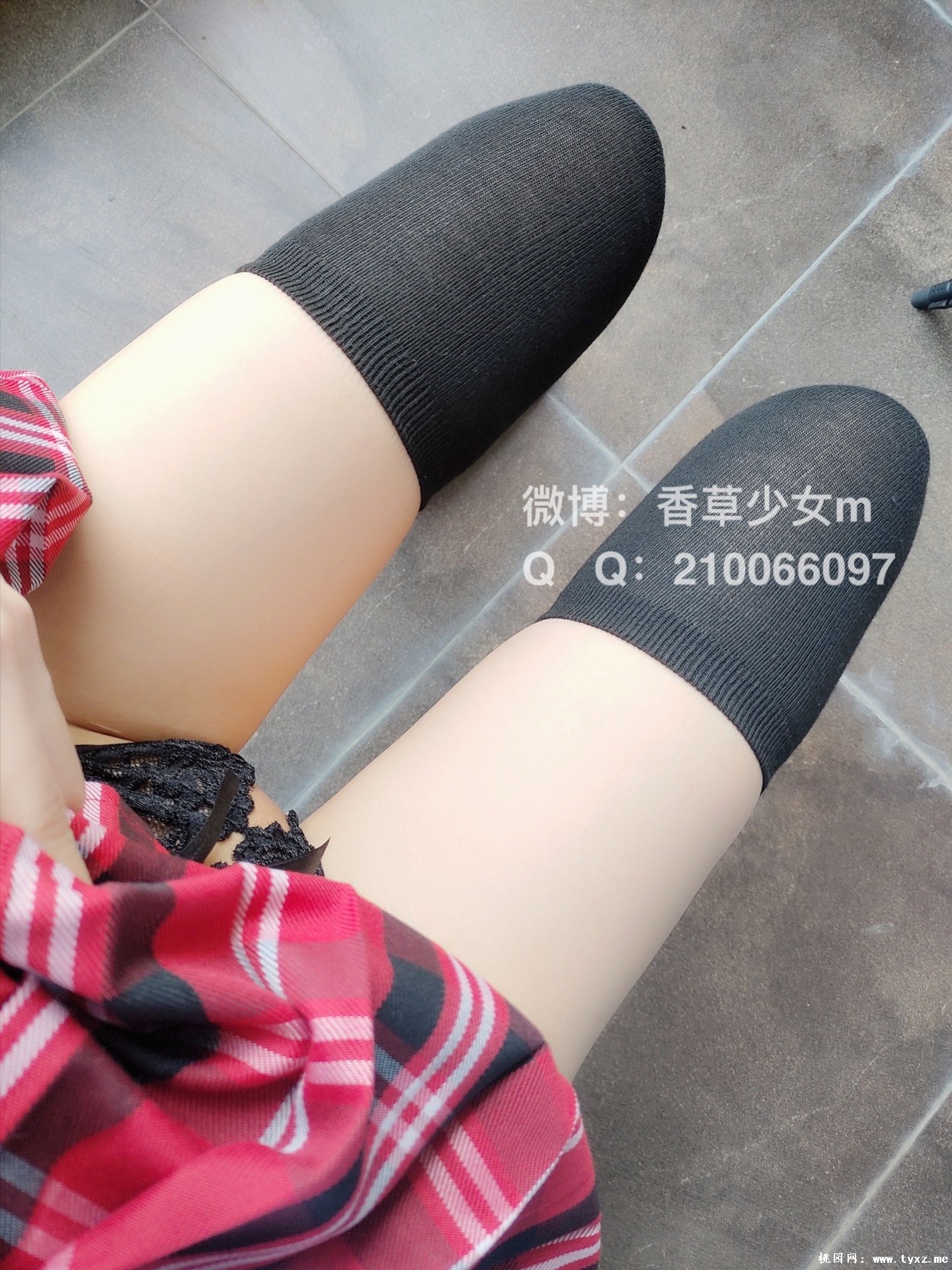 香草少女m（九尾狐狸m） - 陽台