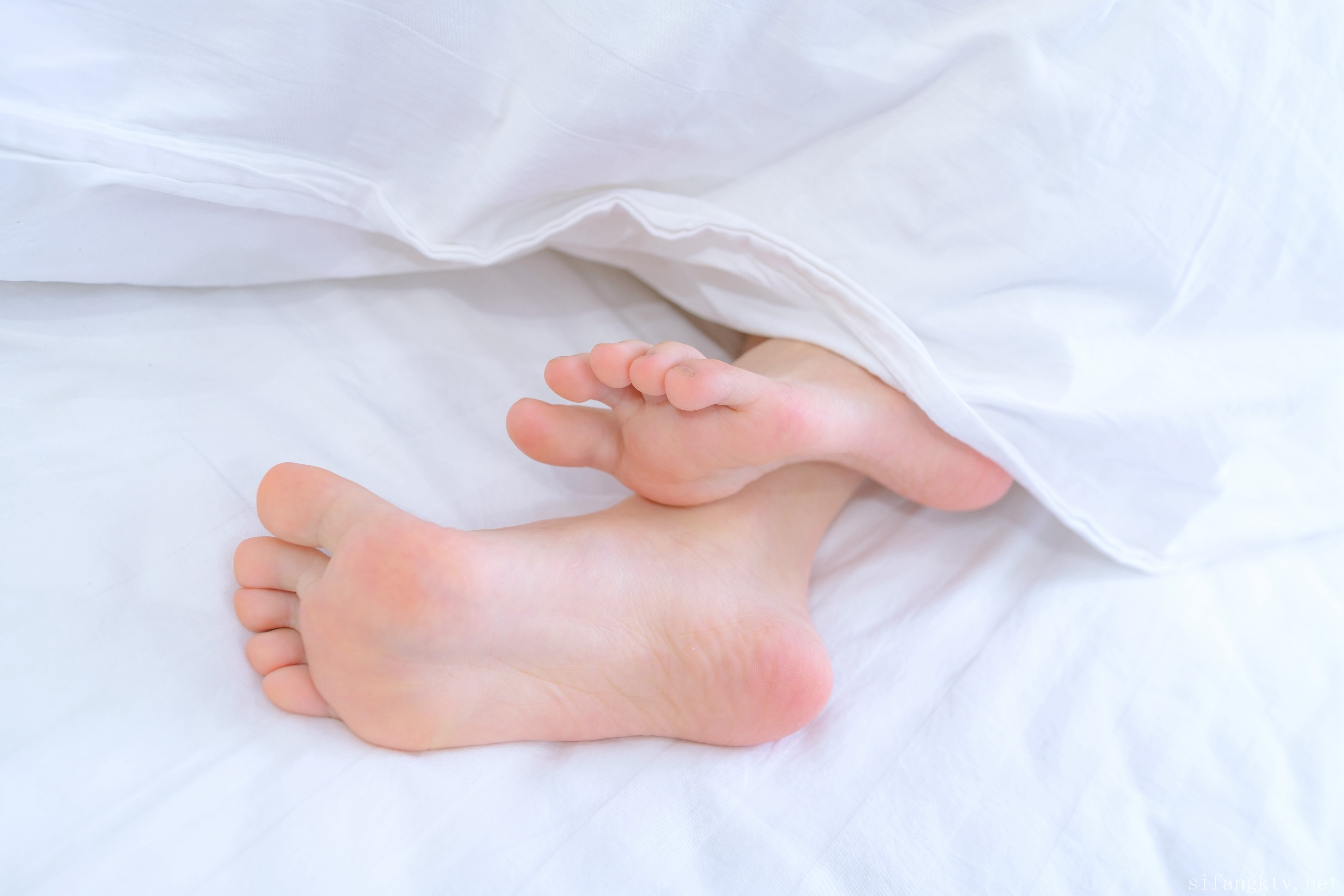 Sen Lô Tài Đoàn] Tiểu Thất-JK-R18