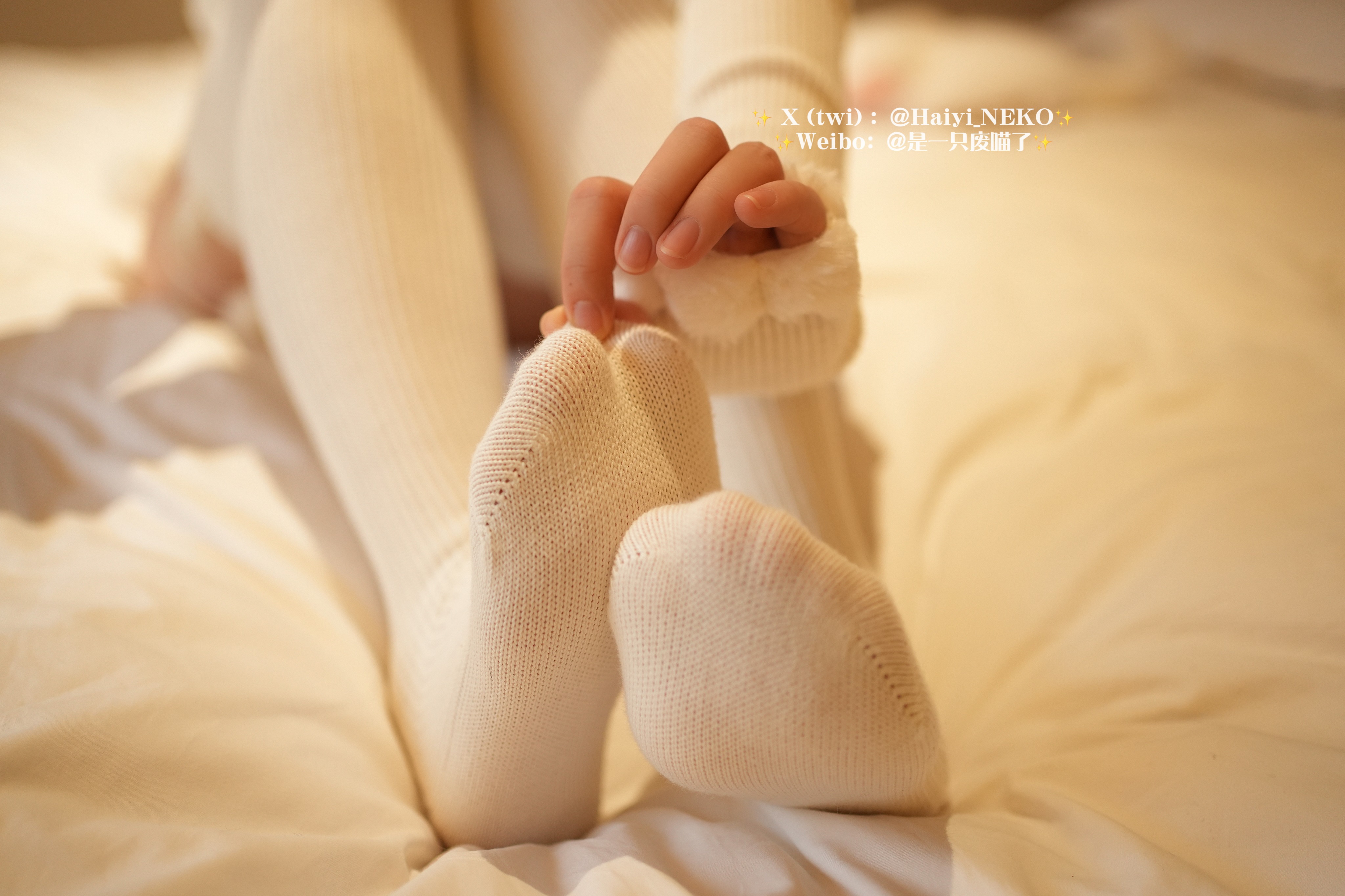 한 마리 폐묘 - fantia2401 구독 (2월 9일 후원 그룹 자원)