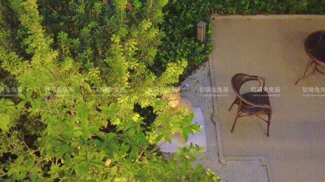 Ruan Meng Tutu Jiang - Người yêu mèo with GIF