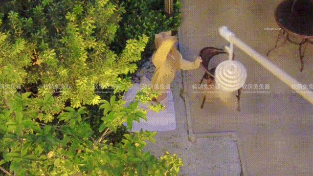 ナンモー トゥトゥ チャン - 猫好きの人 with GIF