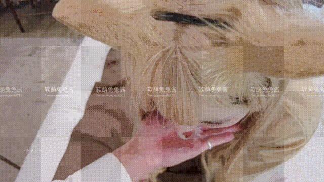 ナンモー トゥトゥ チャン - 猫好きの人 with GIF