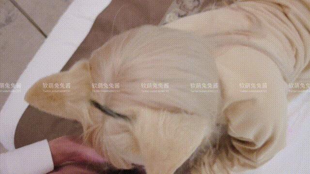 연멍뚜뚜짱 고양이 애호가 코스프레