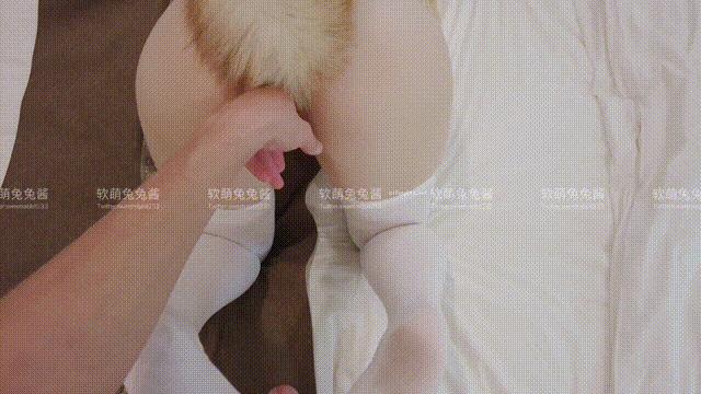 軟萌兔兔醬 - 愛貓人士 與 GIF