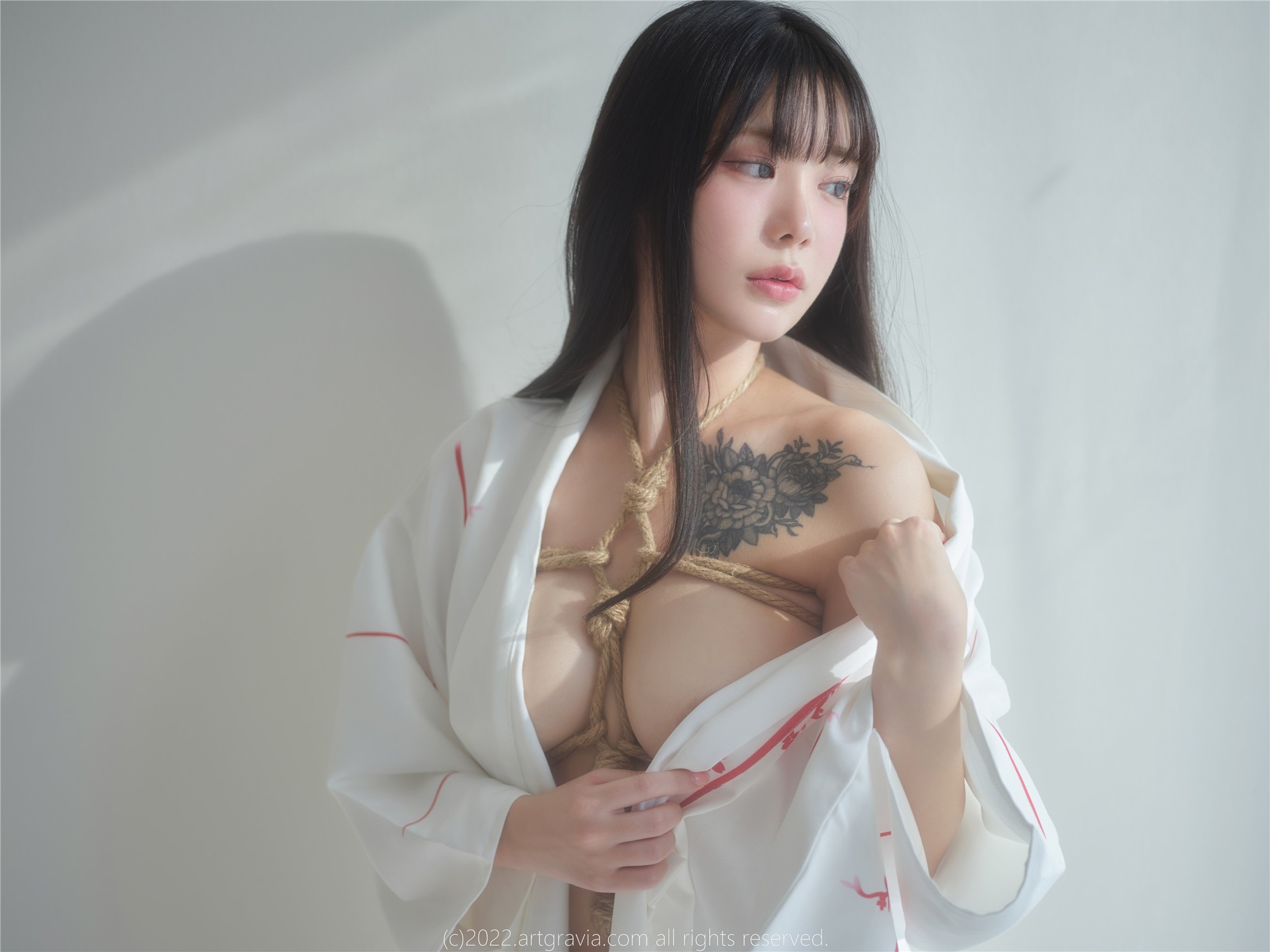 ArtGravia] Vol.464 ウヨ 100P