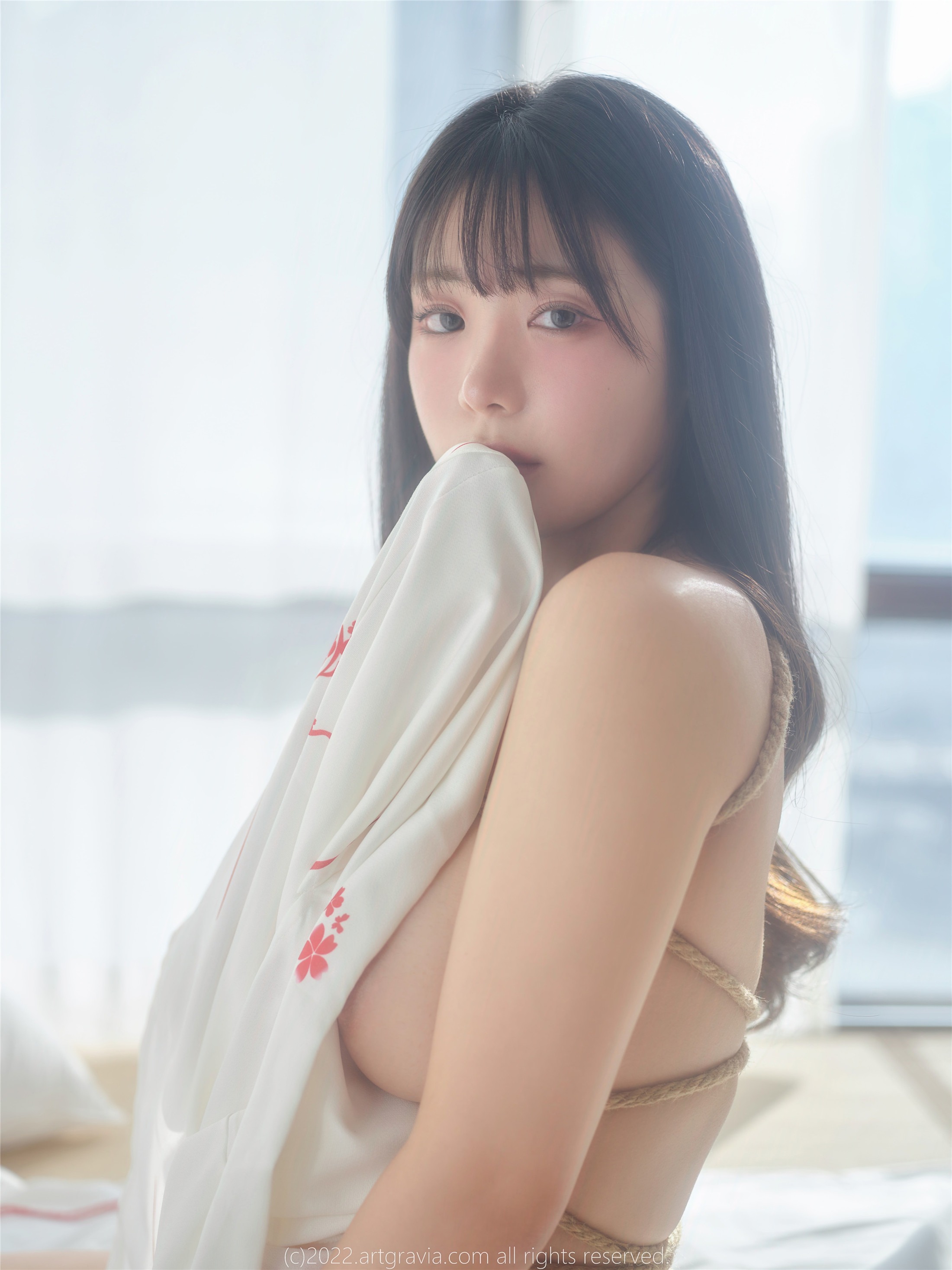 ArtGravia] เล่ม 464 วูโย (우요) 100 หน้า