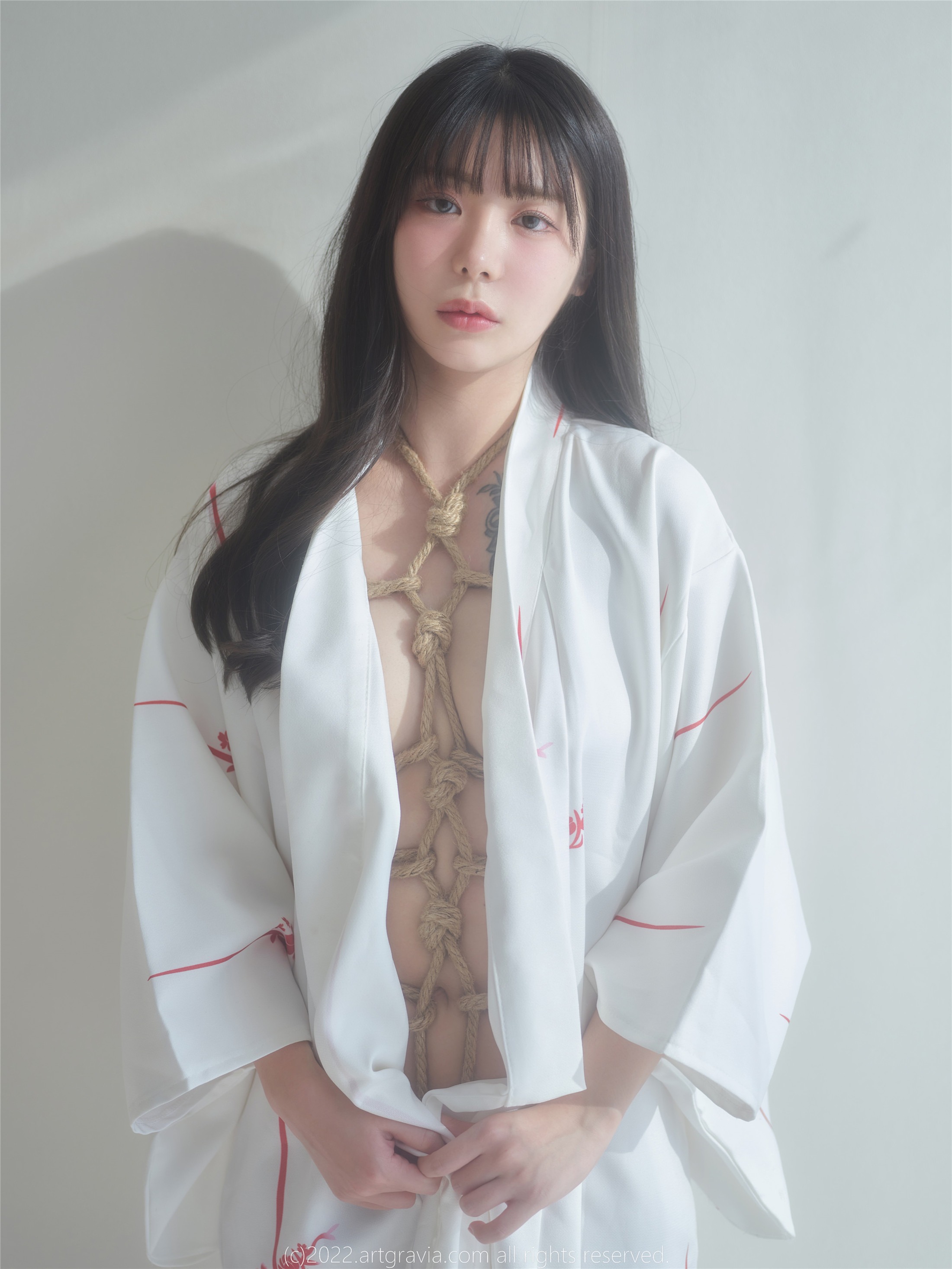 ArtGravia] Vol.464 ウヨ 100P