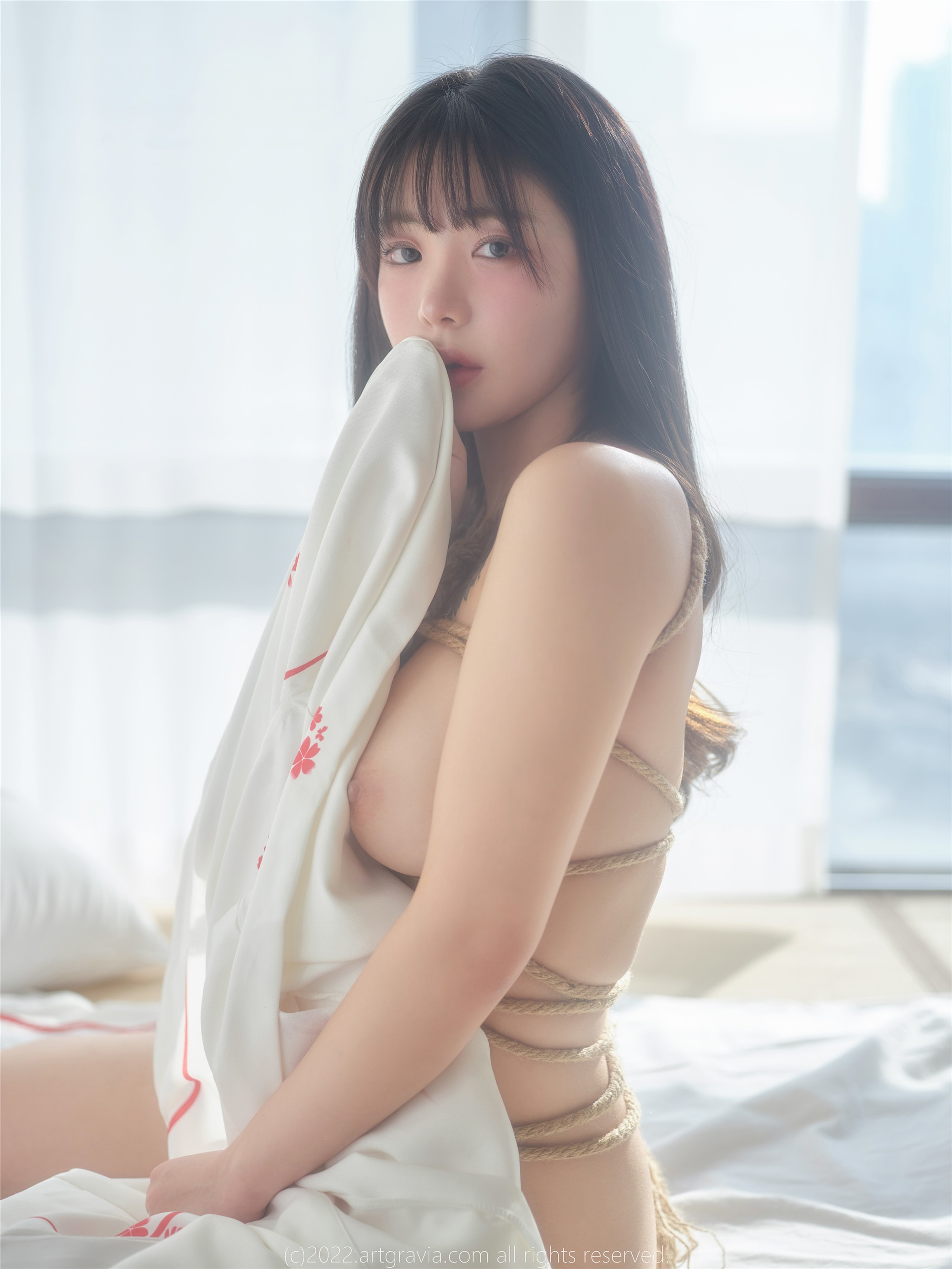 ArtGravia] เล่ม 464 วูโย (우요) 100 หน้า