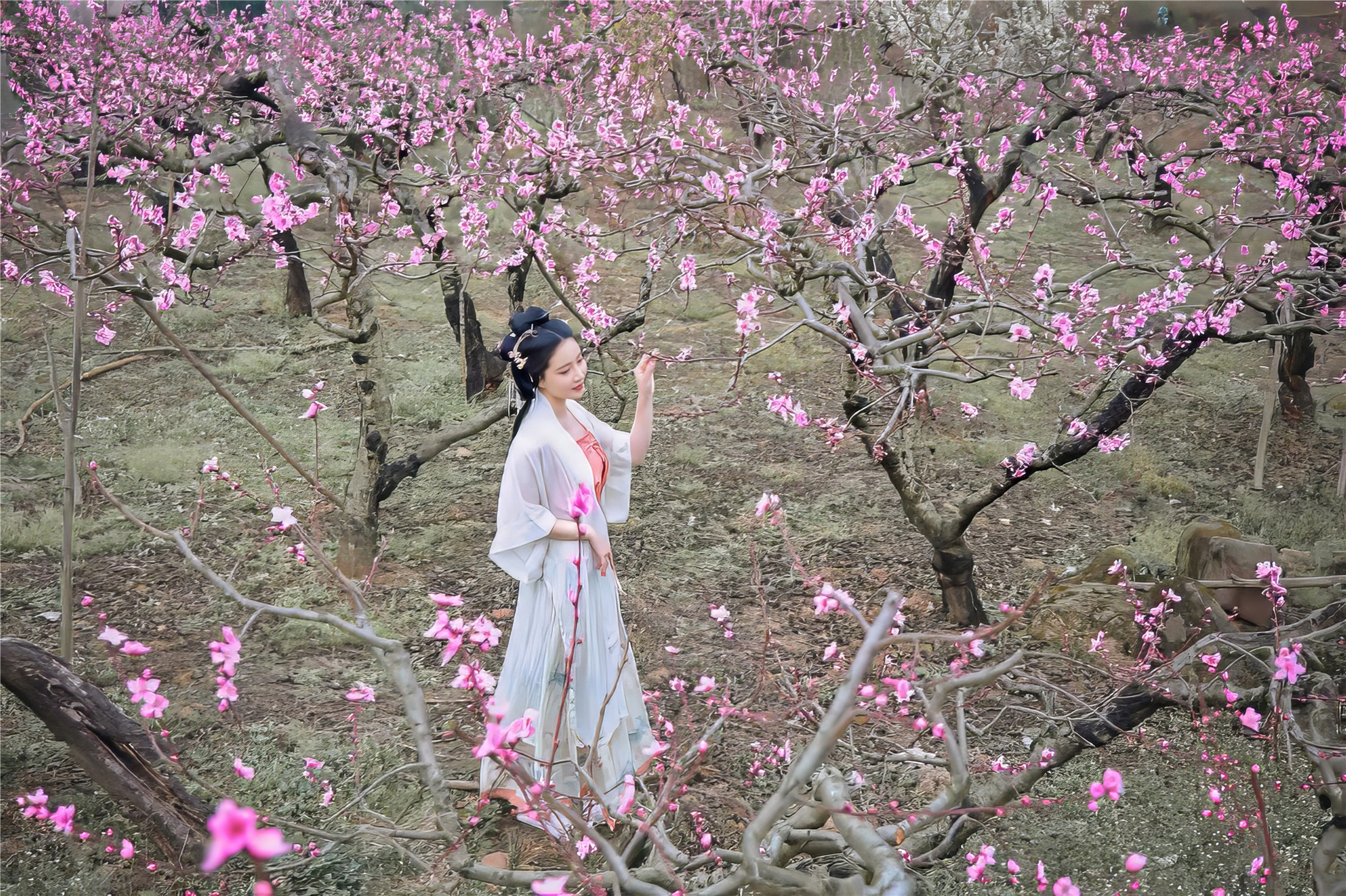 Nian Nian - San Yue Rong 51P