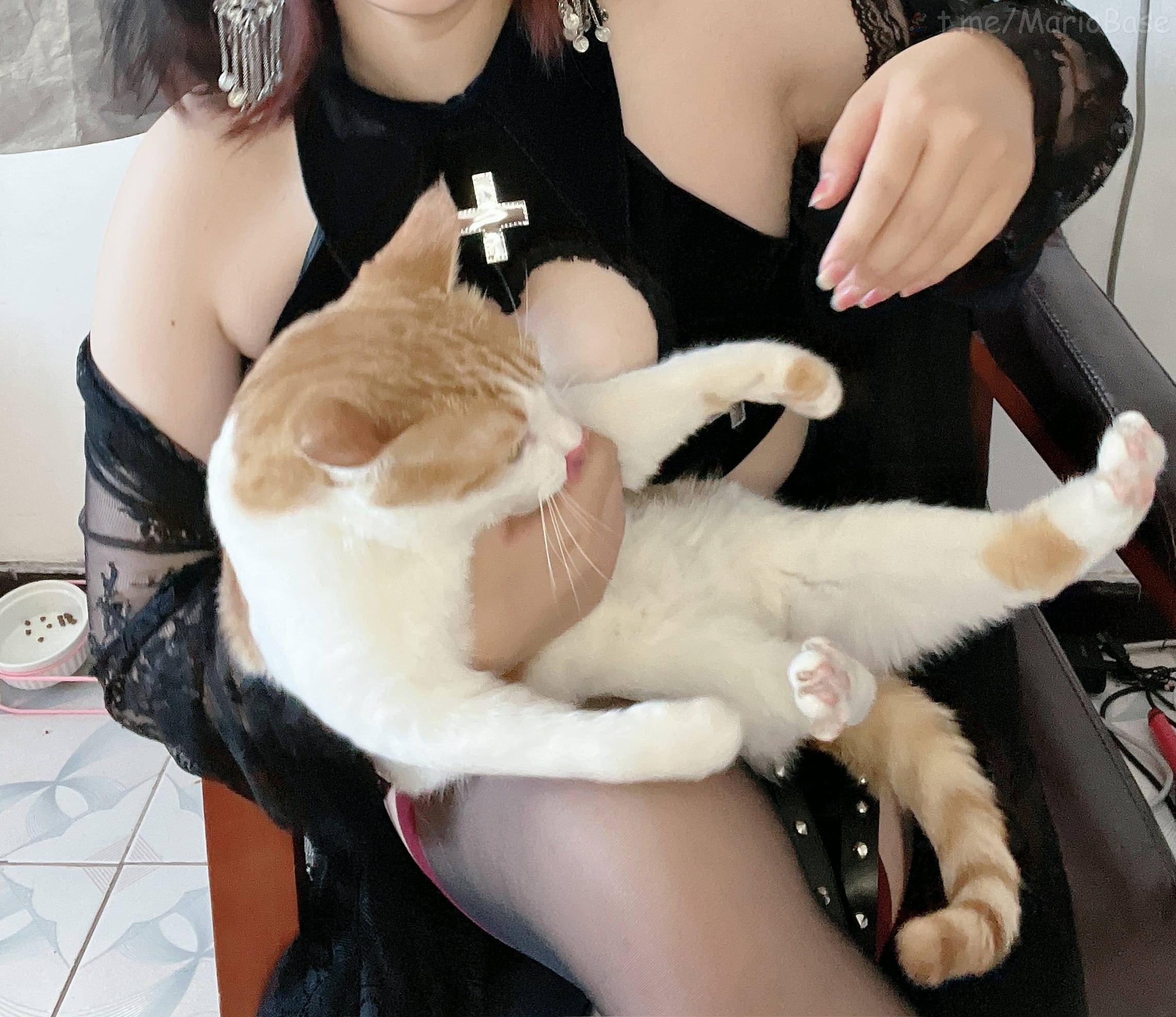 阿半 - 猫猫修女 [42P1V