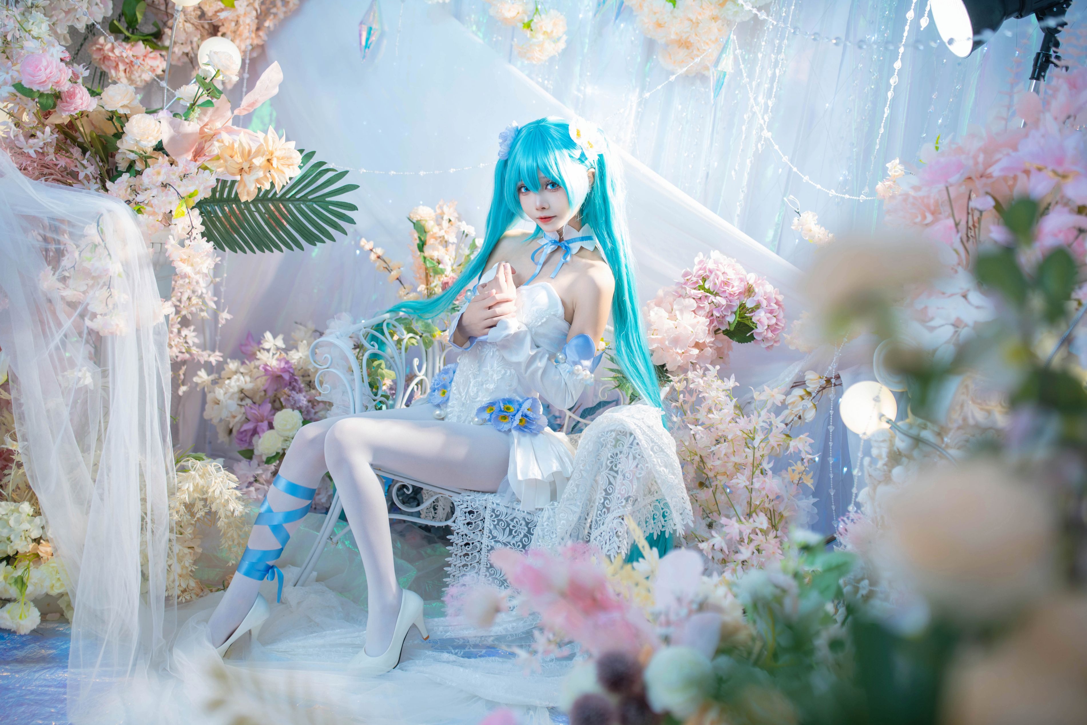 艾西愛威斯特 初音 粉蝶花 42P