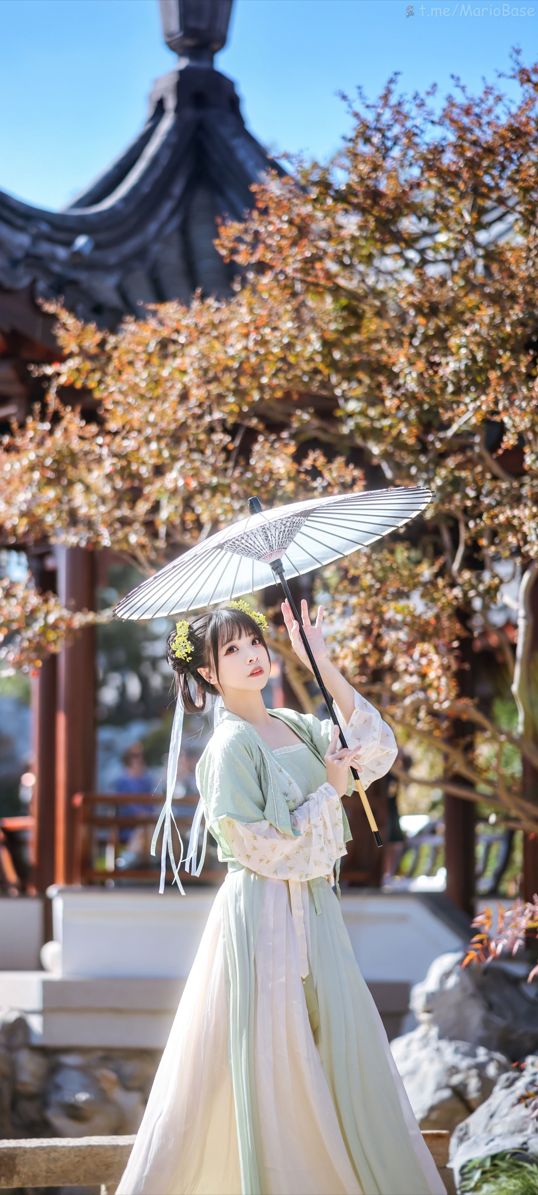 ชุดรวม - ฉางฉีเป็นกระโปรงล่าง ซือฉีเป็นเสื้อบน - ฉบับที่ 23 [100 หน้า