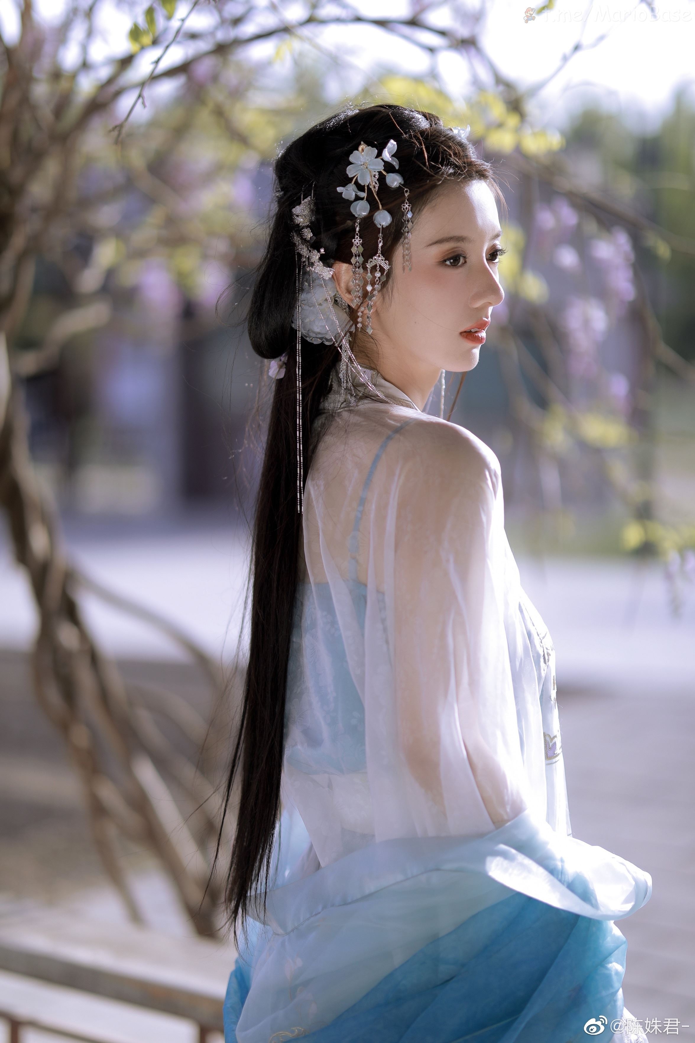 ชุดรวม - ฉางฉีเป็นกระโปรงล่าง ซือฉีเป็นเสื้อบน - ฉบับที่ 23 [100 หน้า