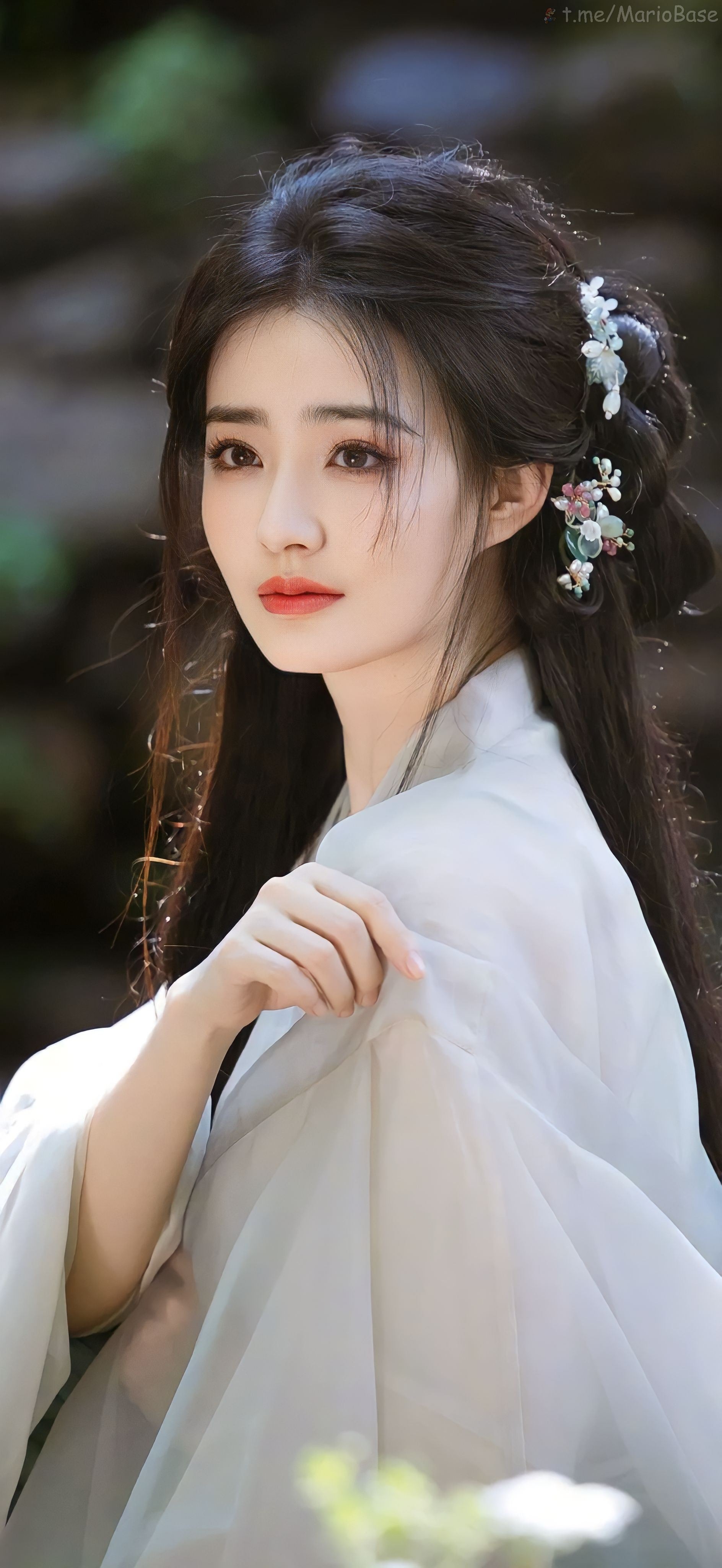 ชุดรวม - ฉางฉีเป็นกระโปรงล่าง ซือฉีเป็นเสื้อบน - ฉบับที่ 23 [100 หน้า