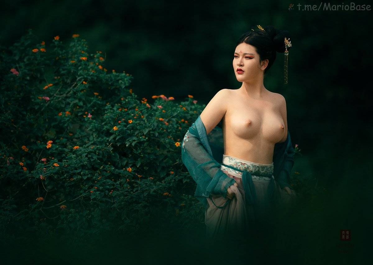 Collection - Xiang Qi as lower skirt, Zi Qi as upper jacket - Issue 24 [100P