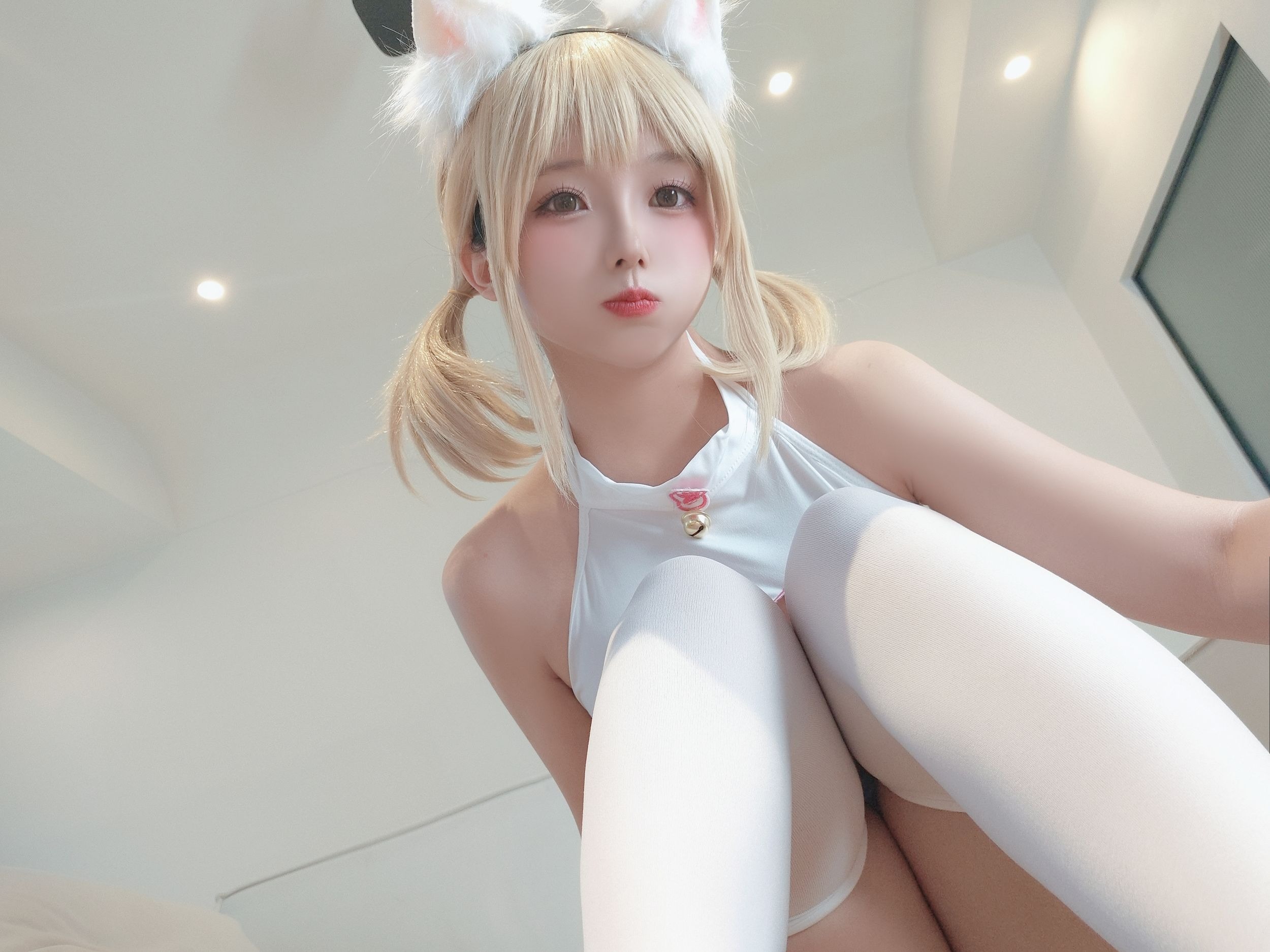 일나이조 - 페르시안 고양이 110P